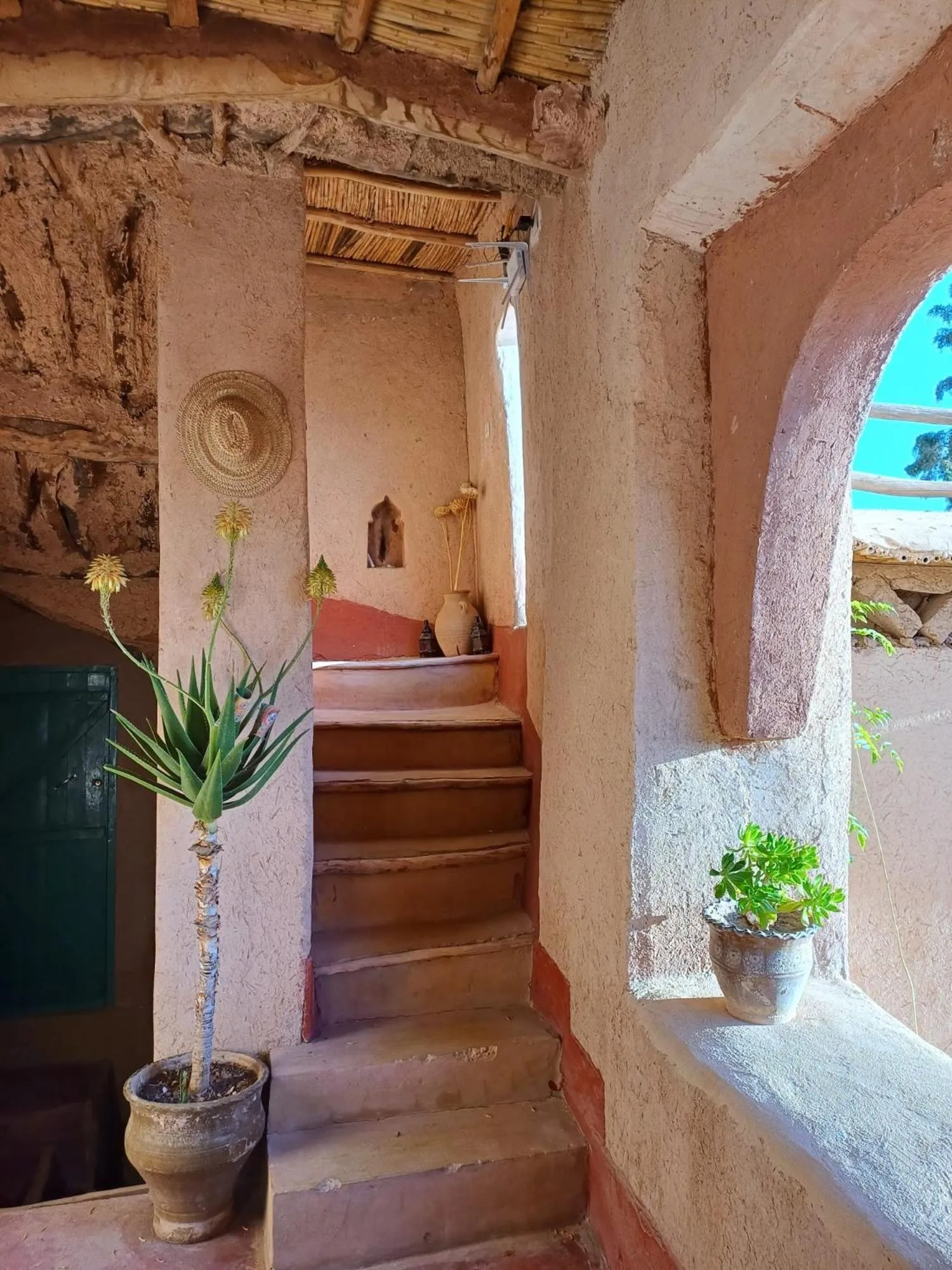 Les Jardins du M'goun