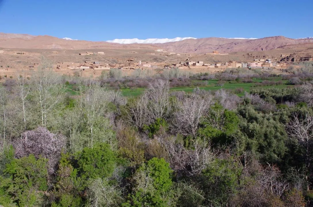 Natural landscape in Les Jardins du M'goun