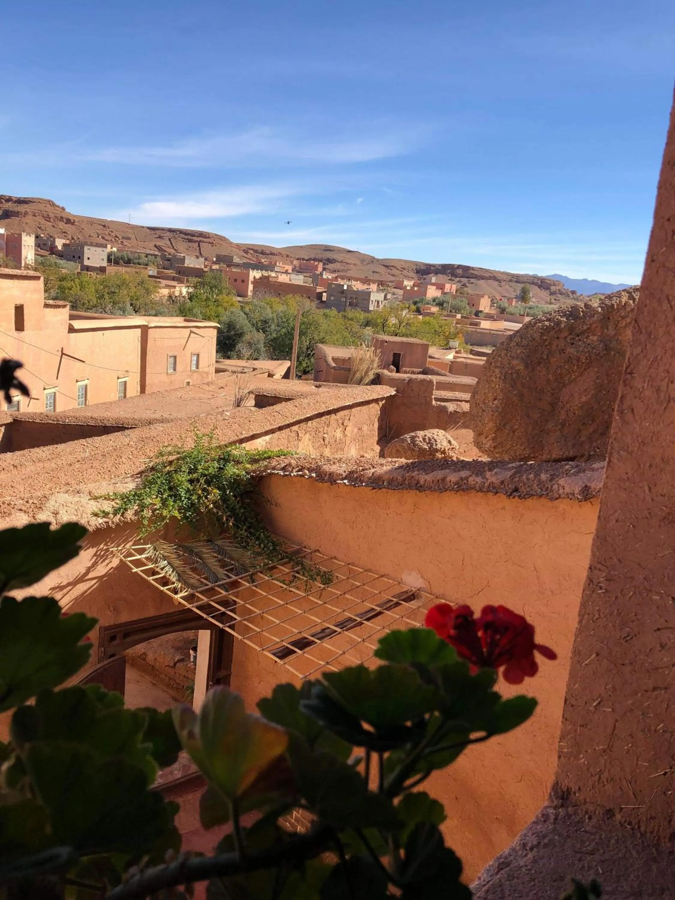 Les Jardins du M'goun