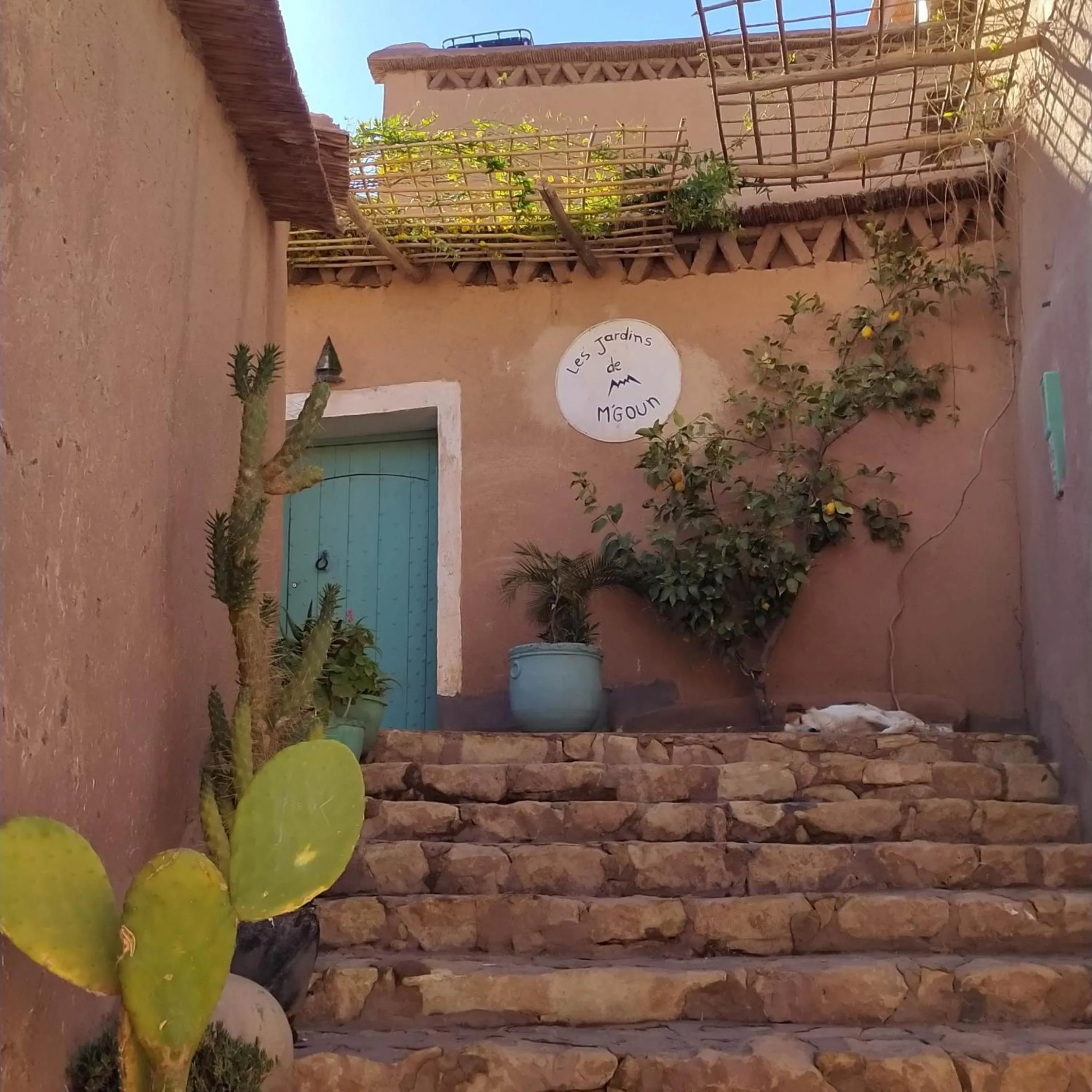 Les Jardins du M'goun