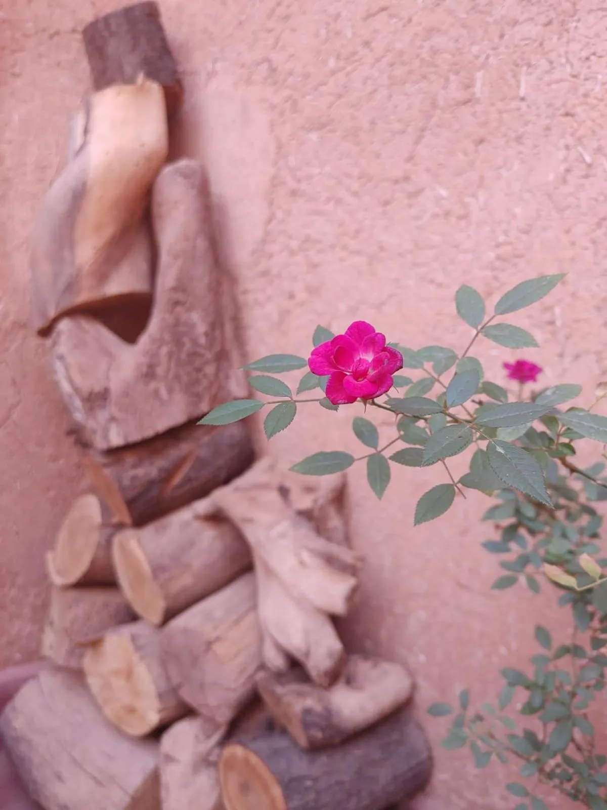 Les Jardins du M'goun