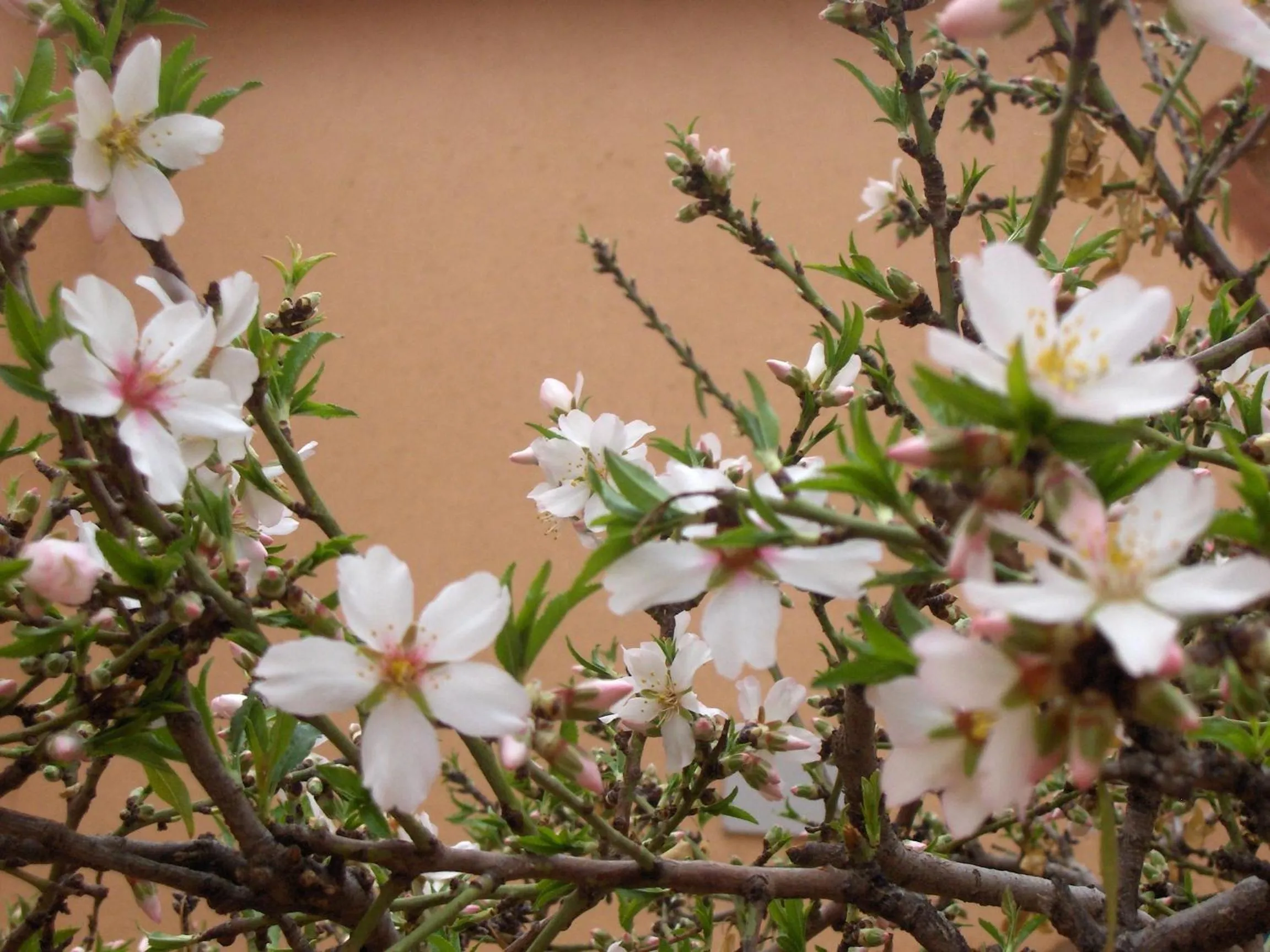 Other in Les Jardins du M'goun