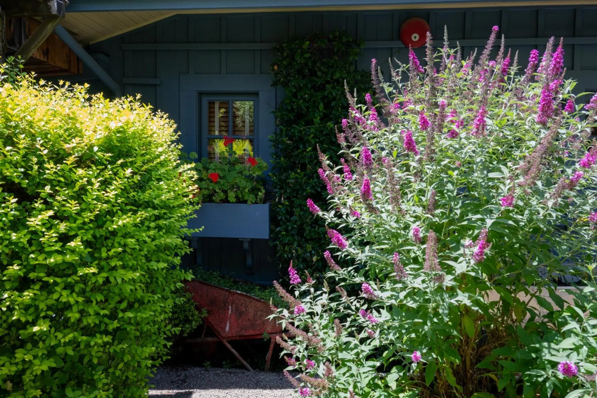 Garden in Tallman Hotel