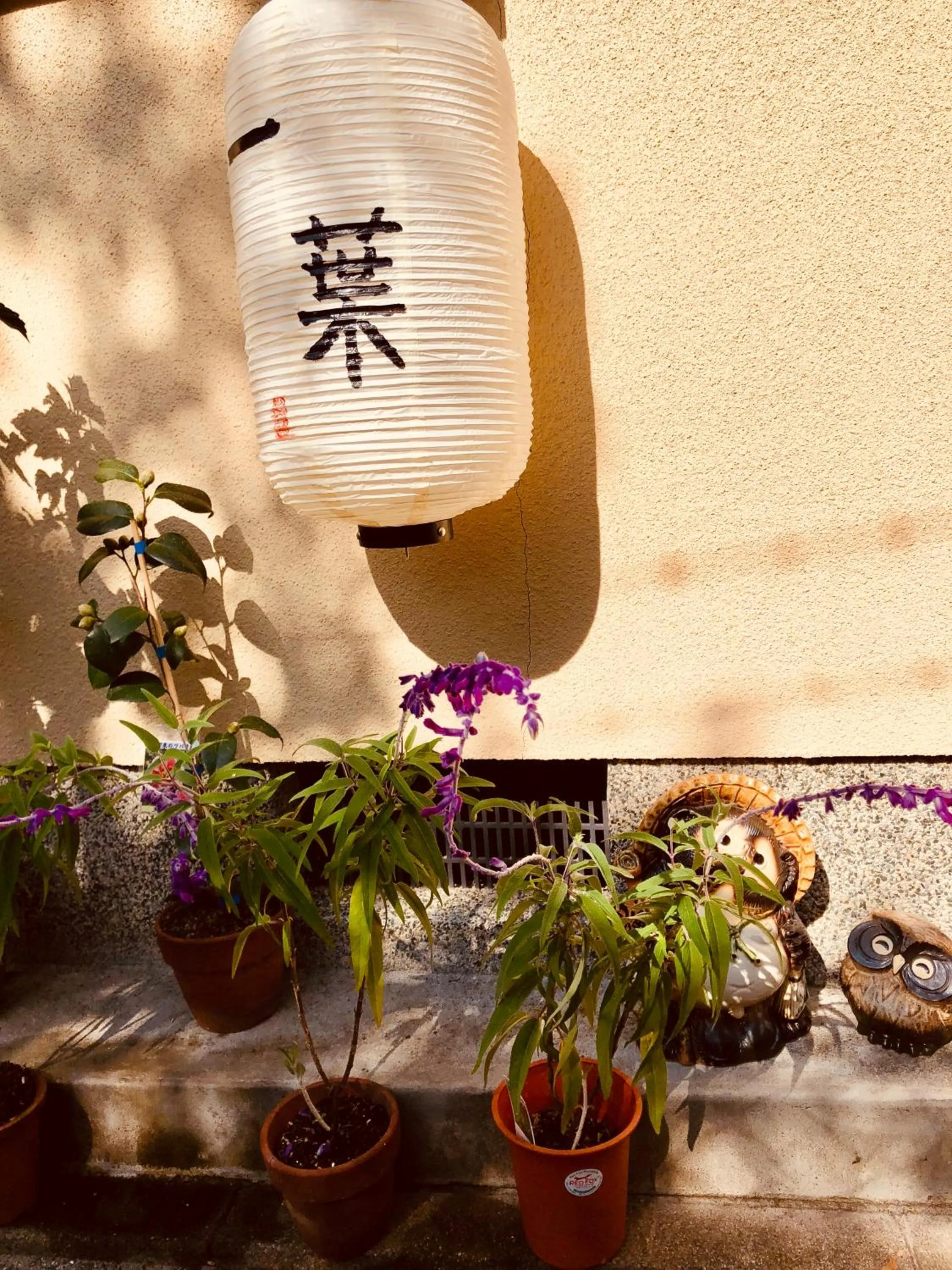 Property building in A Leaf Inn