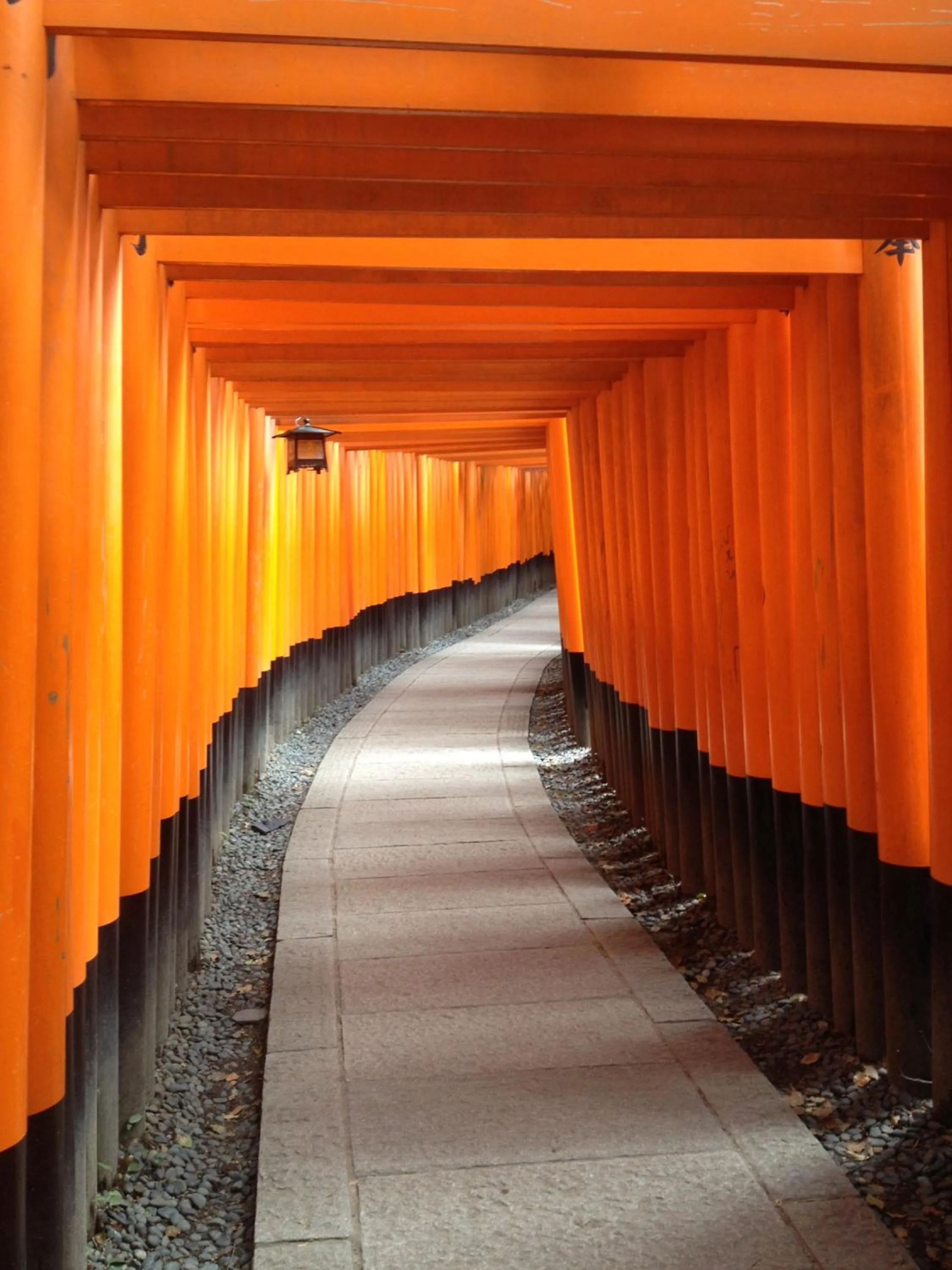 Natural landscape in A Leaf Inn