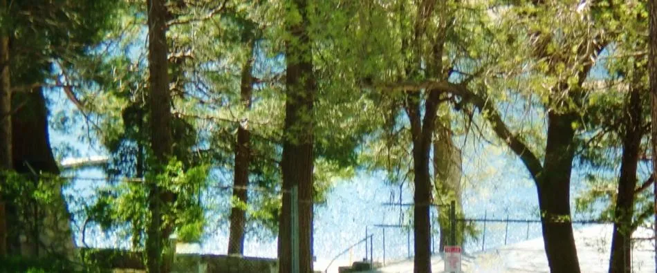 Natural landscape in The North Shore Inn