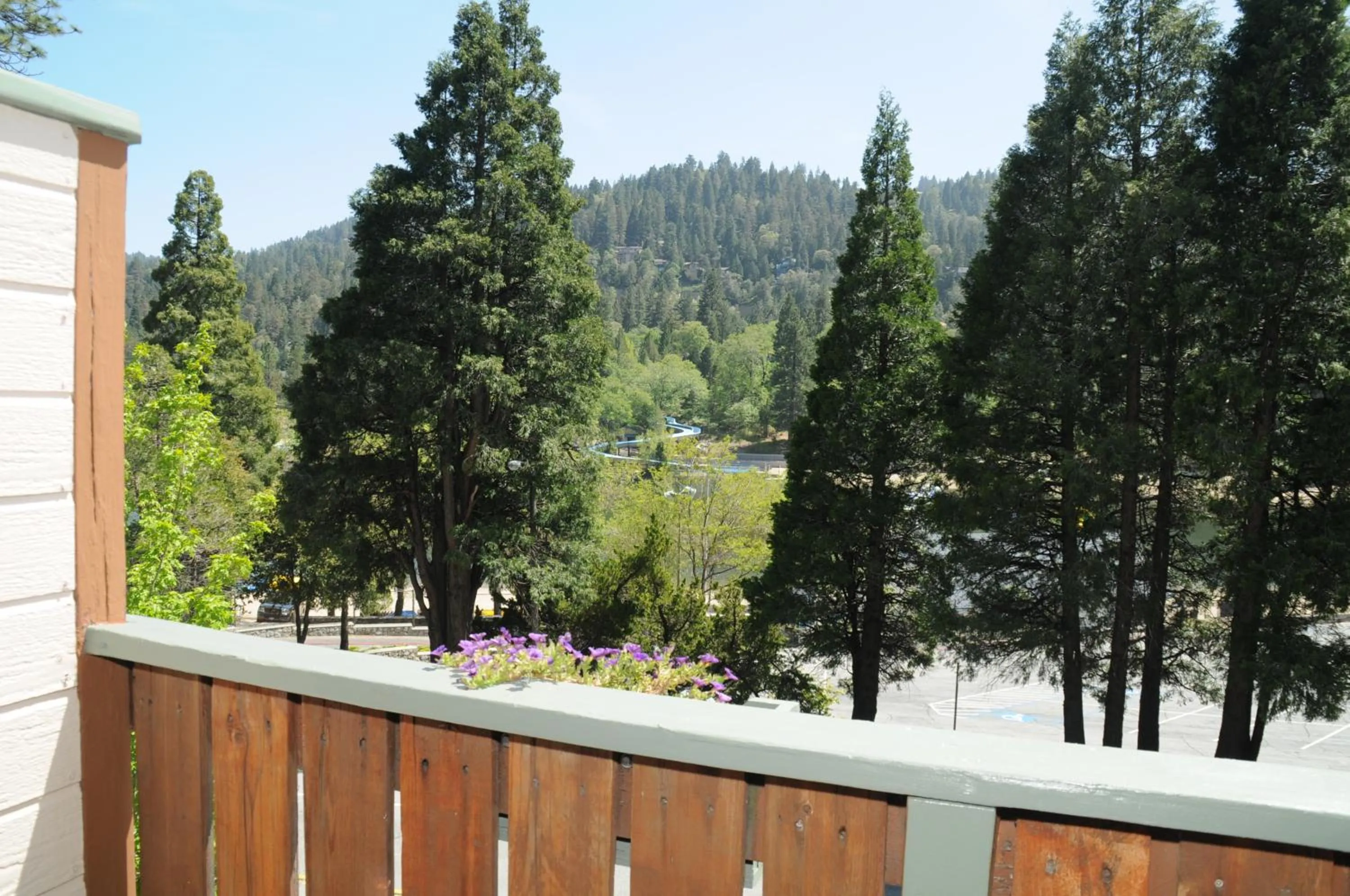 View (from property/room) in The North Shore Inn