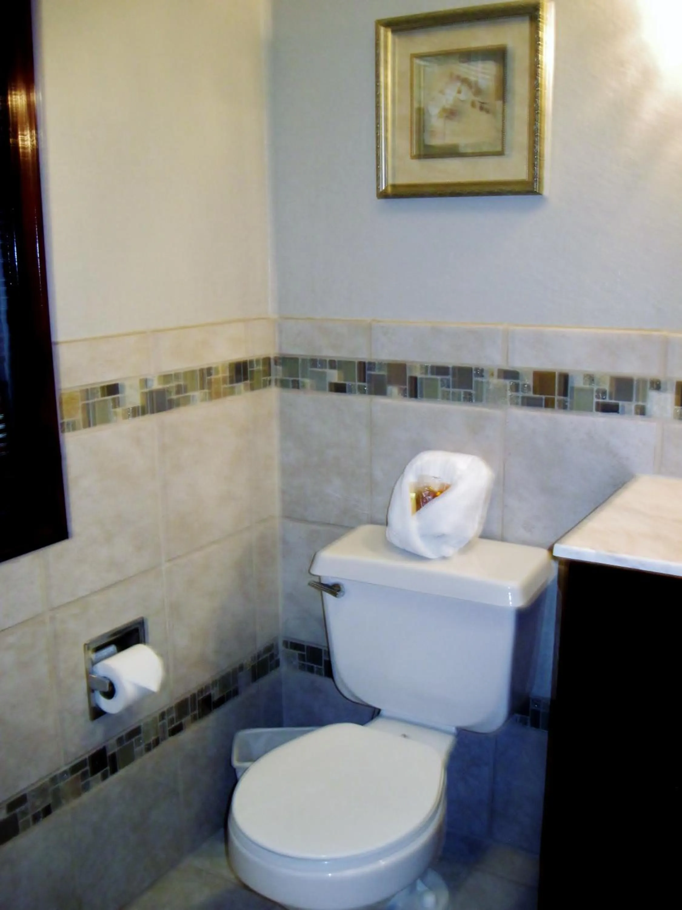 Toilet in The North Shore Inn