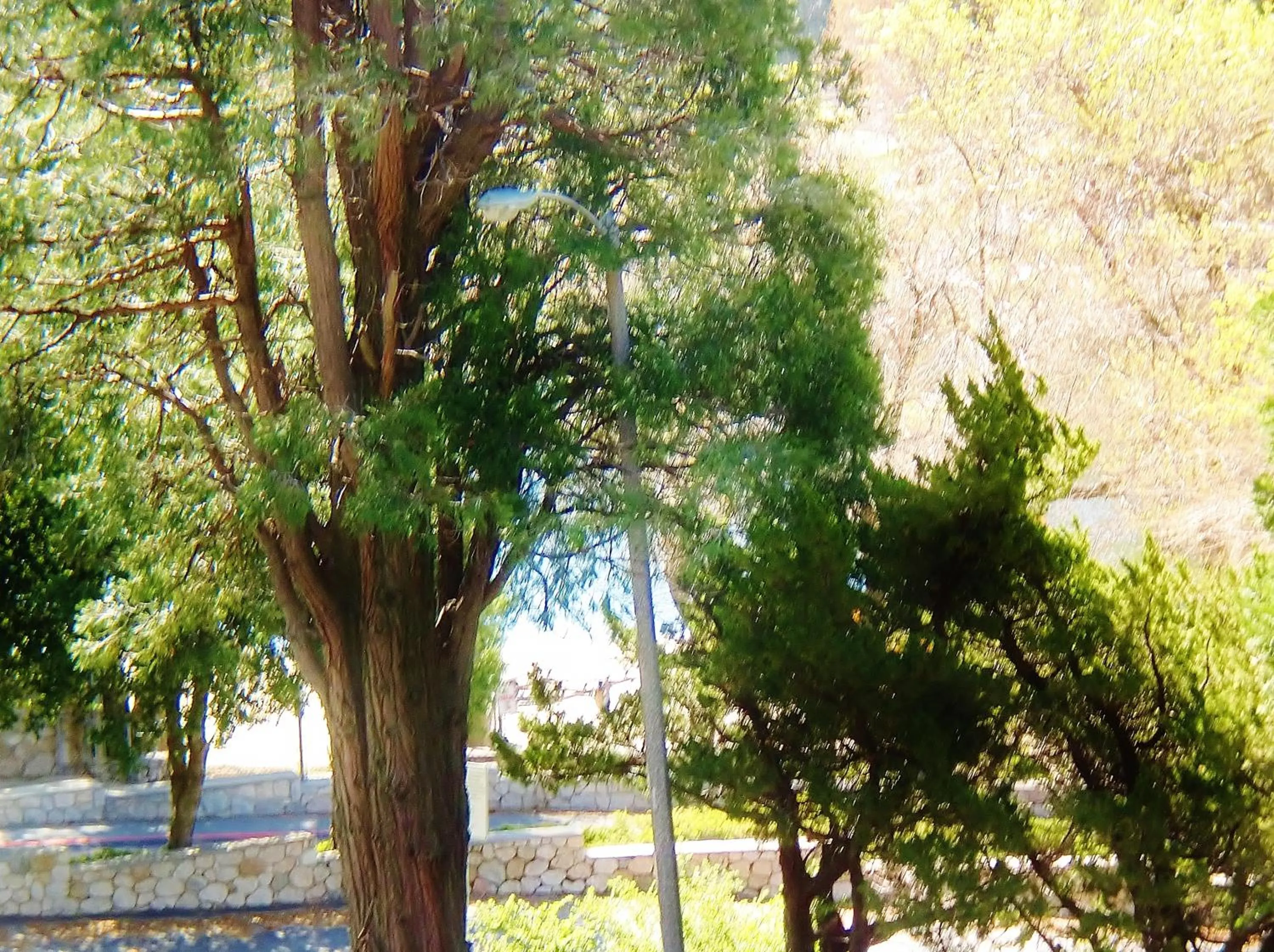 Lake view in The North Shore Inn