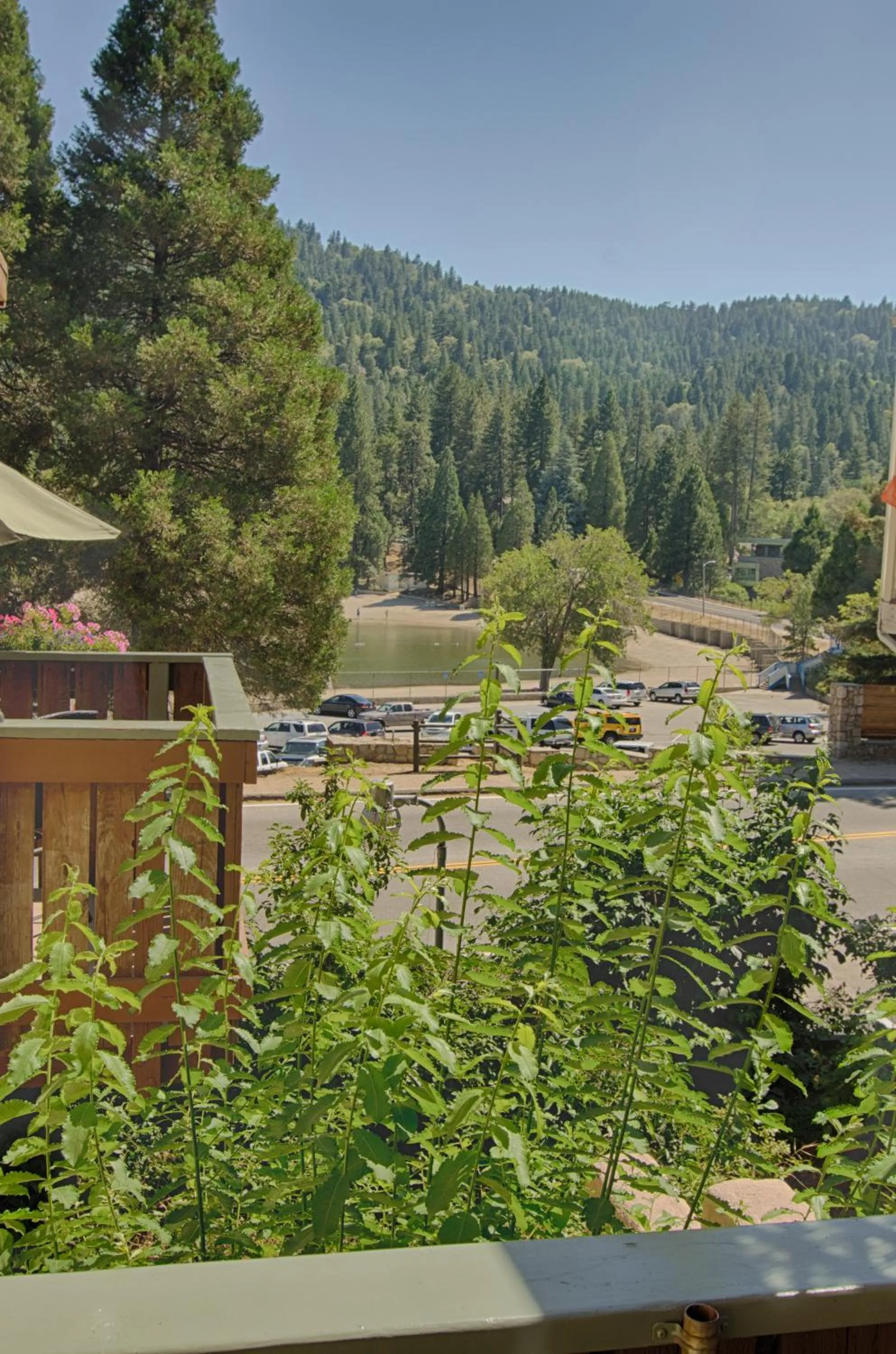 View (from property/room) in The North Shore Inn