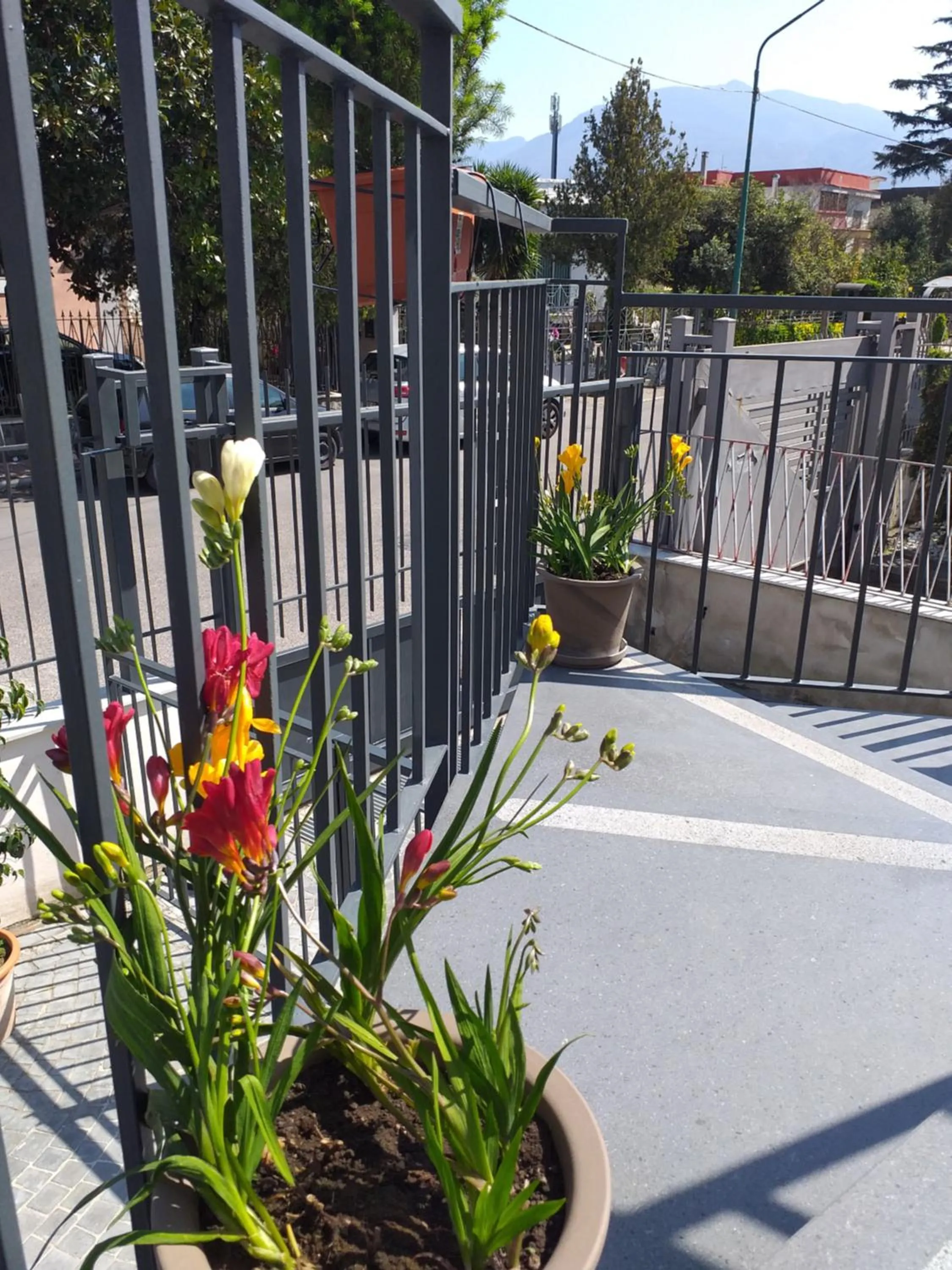 Facade/entrance in Appartamento B&B Domus Pompei