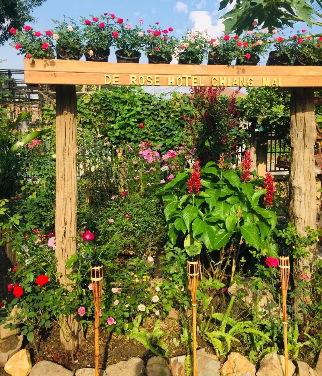 Garden in DE ROSE Hotel Chiang Mai