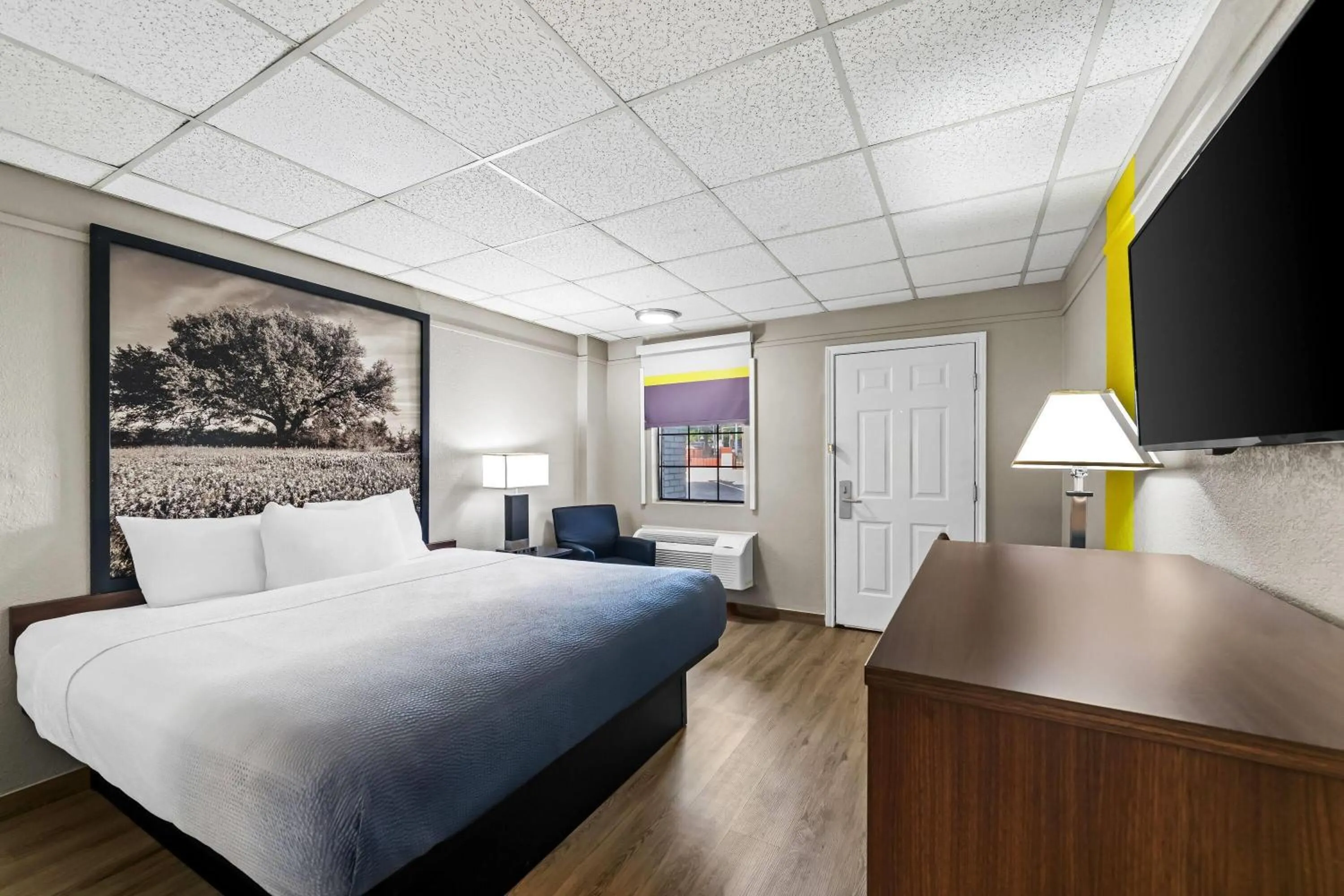 Bed in Super 8 by Wyndham Fredericksburg