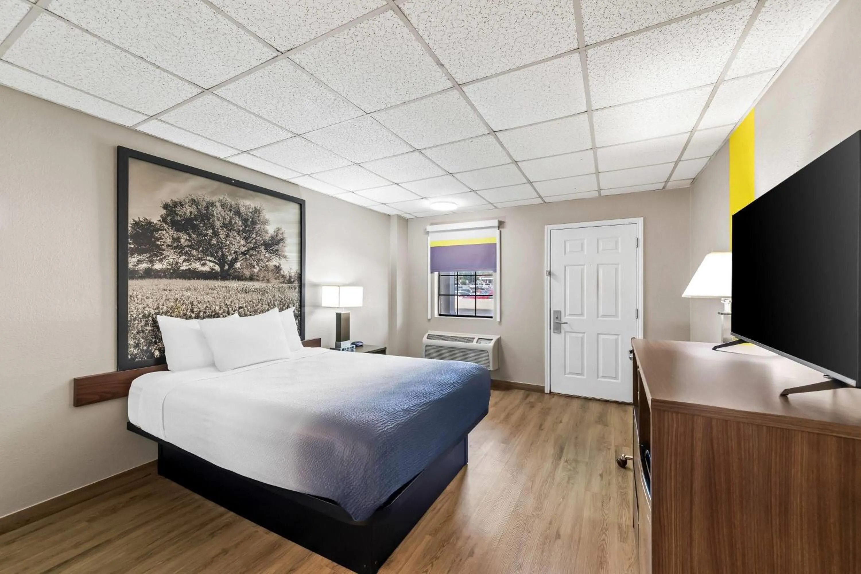 Bed in Super 8 by Wyndham Fredericksburg