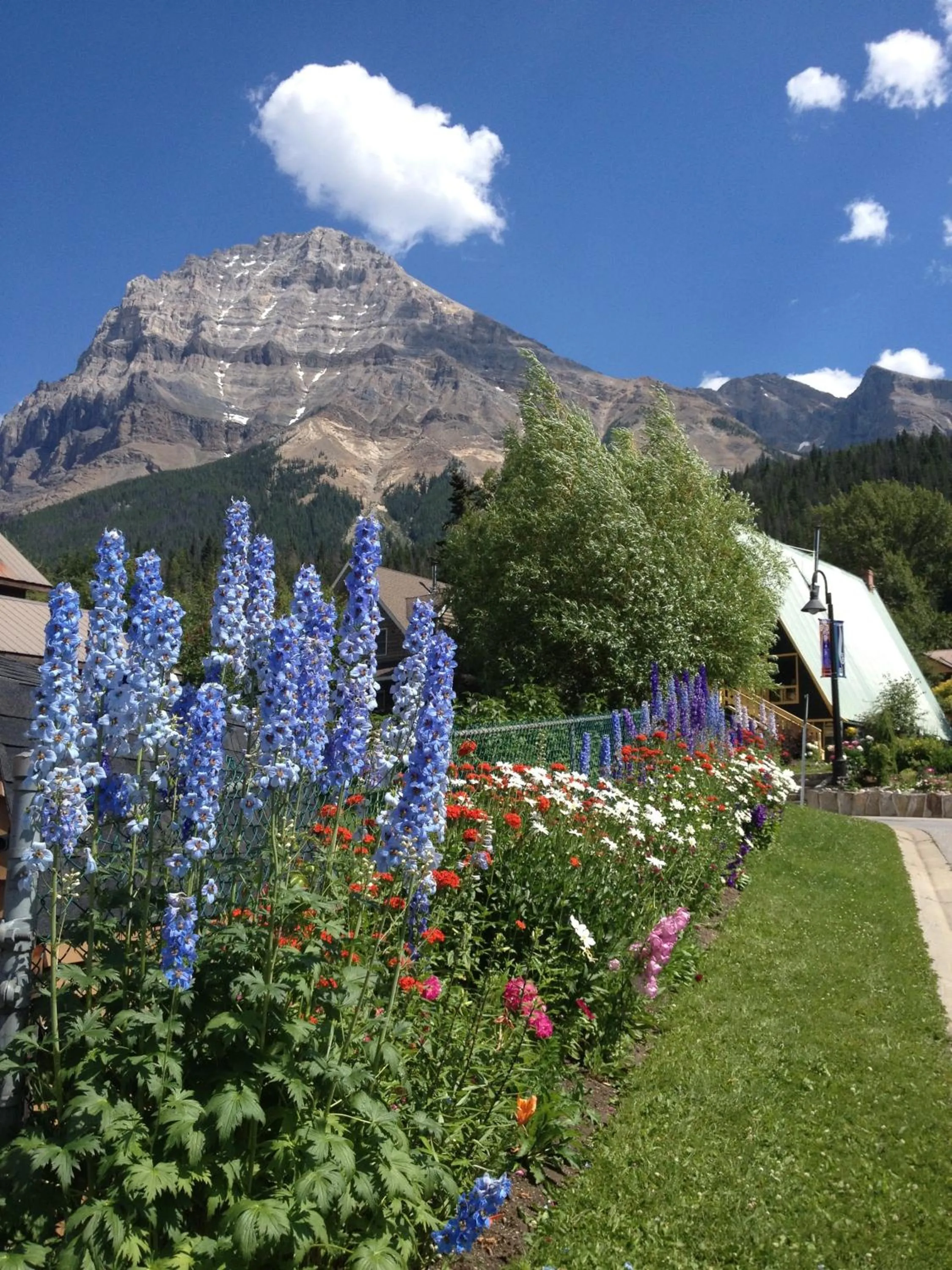 Area and facilities in Canadian Rockies Inn - Adults only