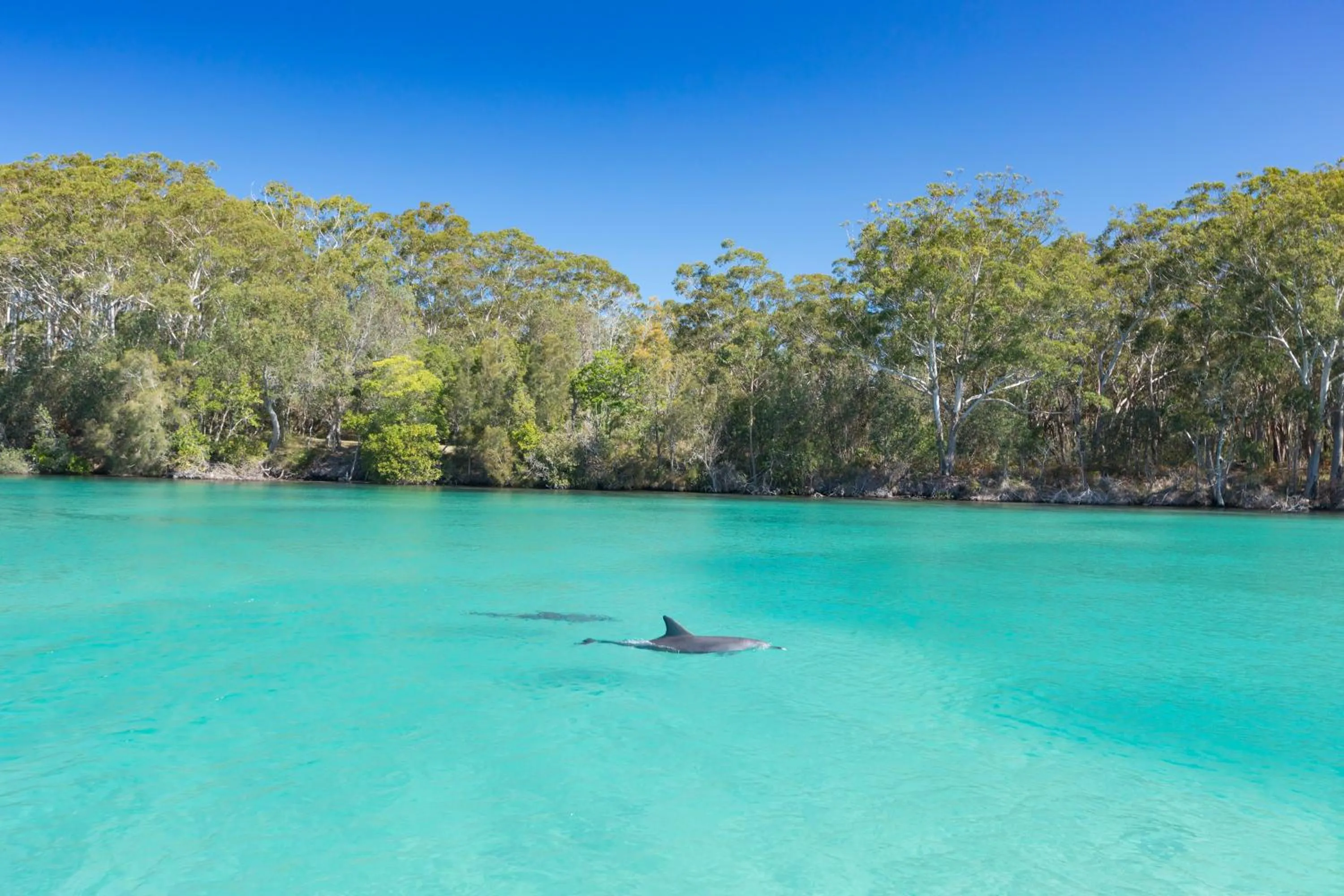 Nearby landmark in Hotel Forster