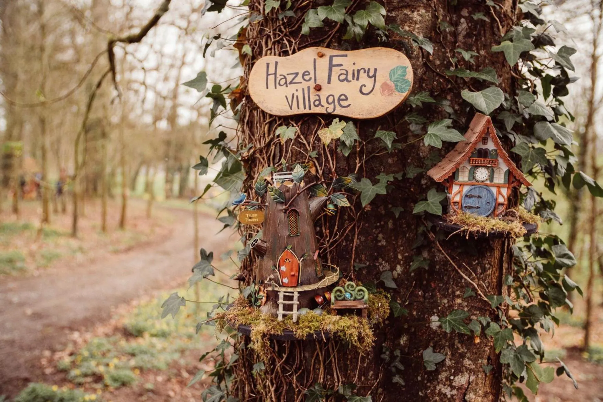 Property building in Glasson Lakehouse