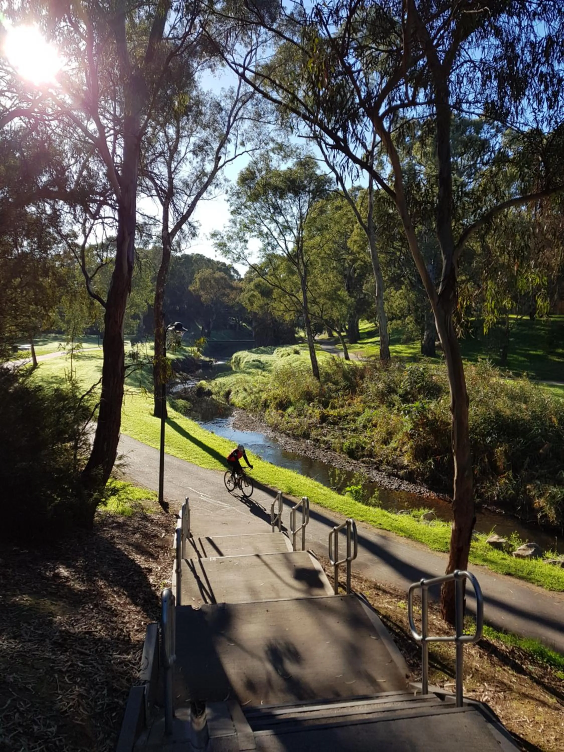 Activities in Levi Adelaide Holiday Park