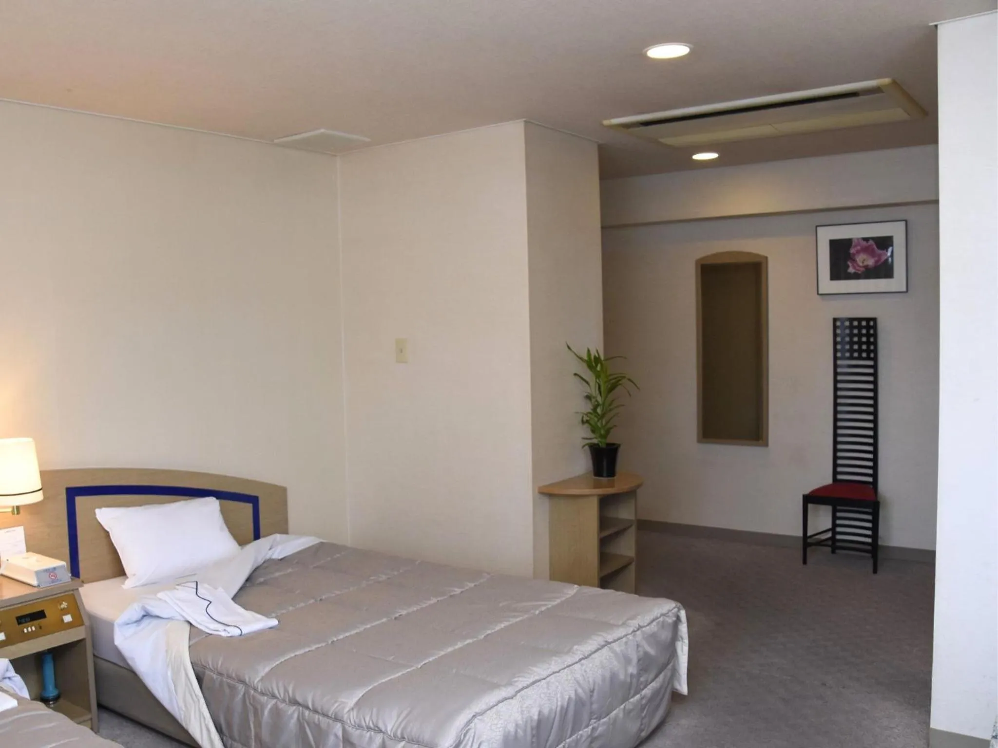 Photo of the whole room, Bed in Silk Hotel