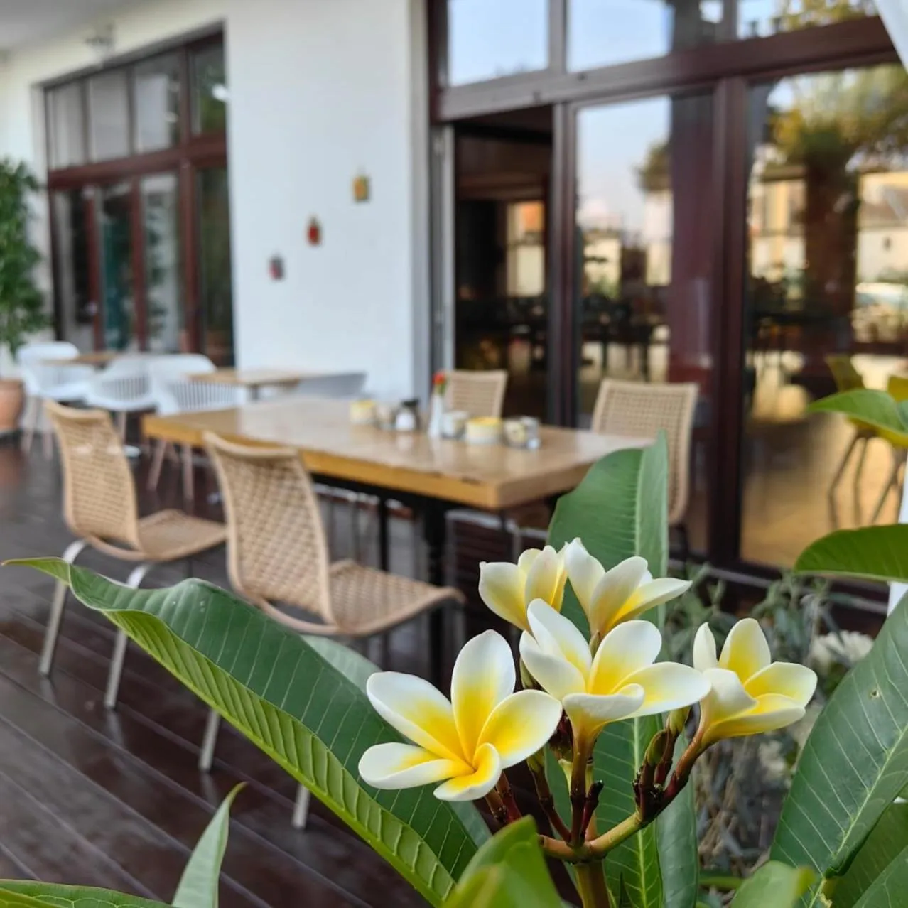 Garden in Villa Santa Maria