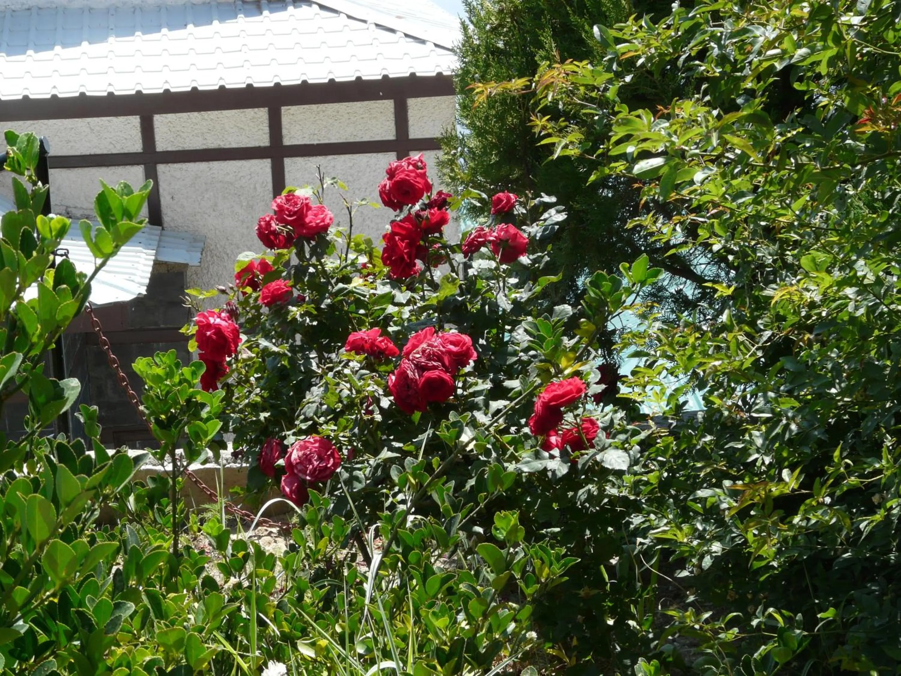 Other in Snow King Retreat - The Heaven