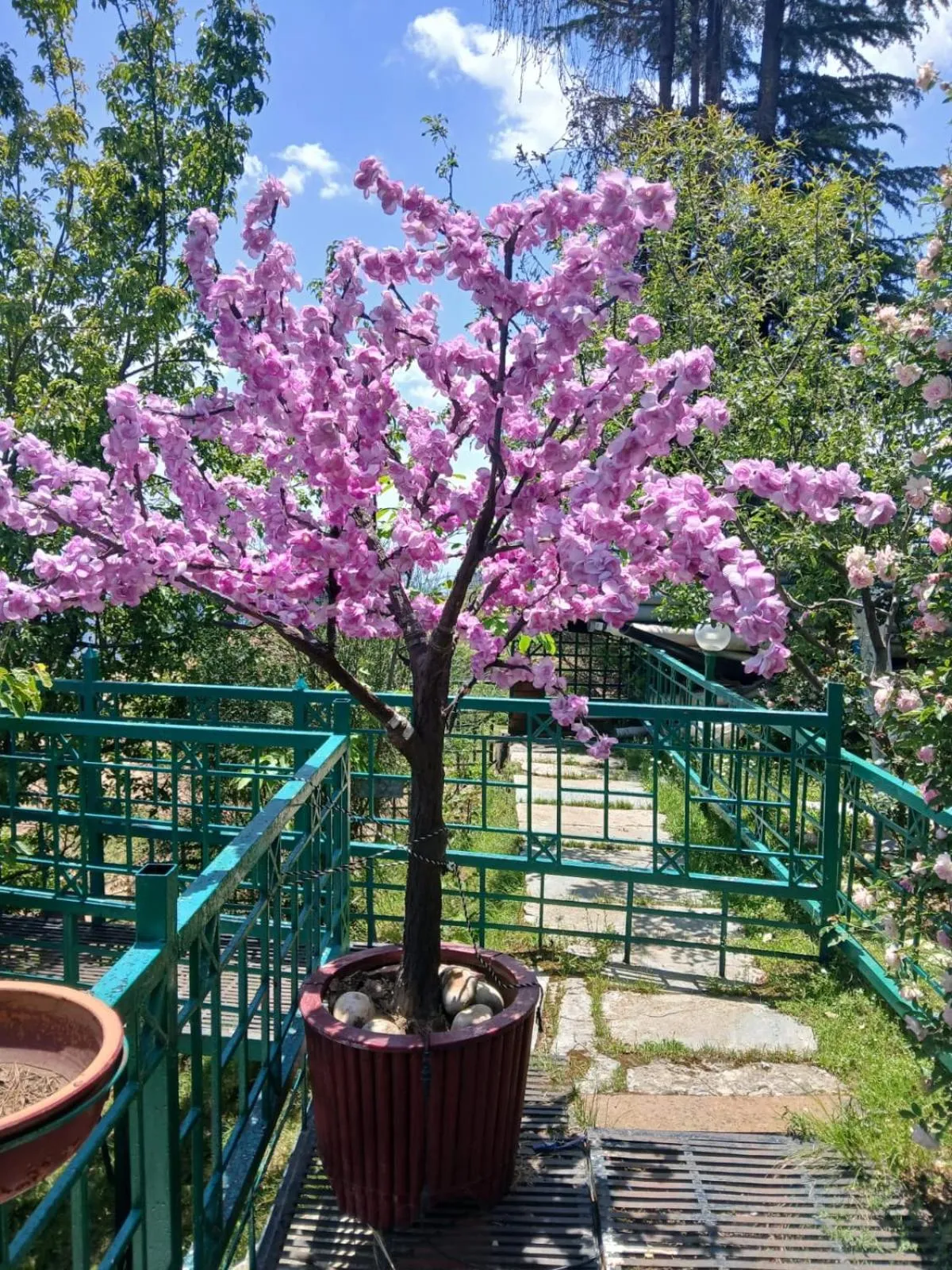 Garden view in Snow King Retreat - The Heaven