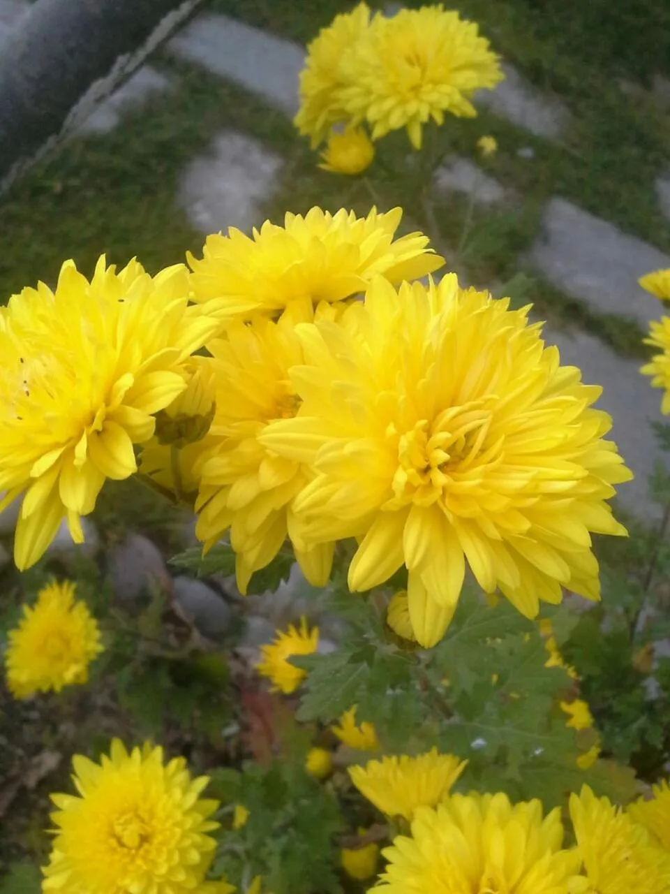 Other in Snow King Retreat - The Heaven