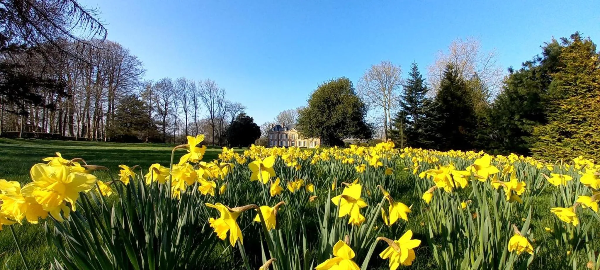 Château de Cleuville