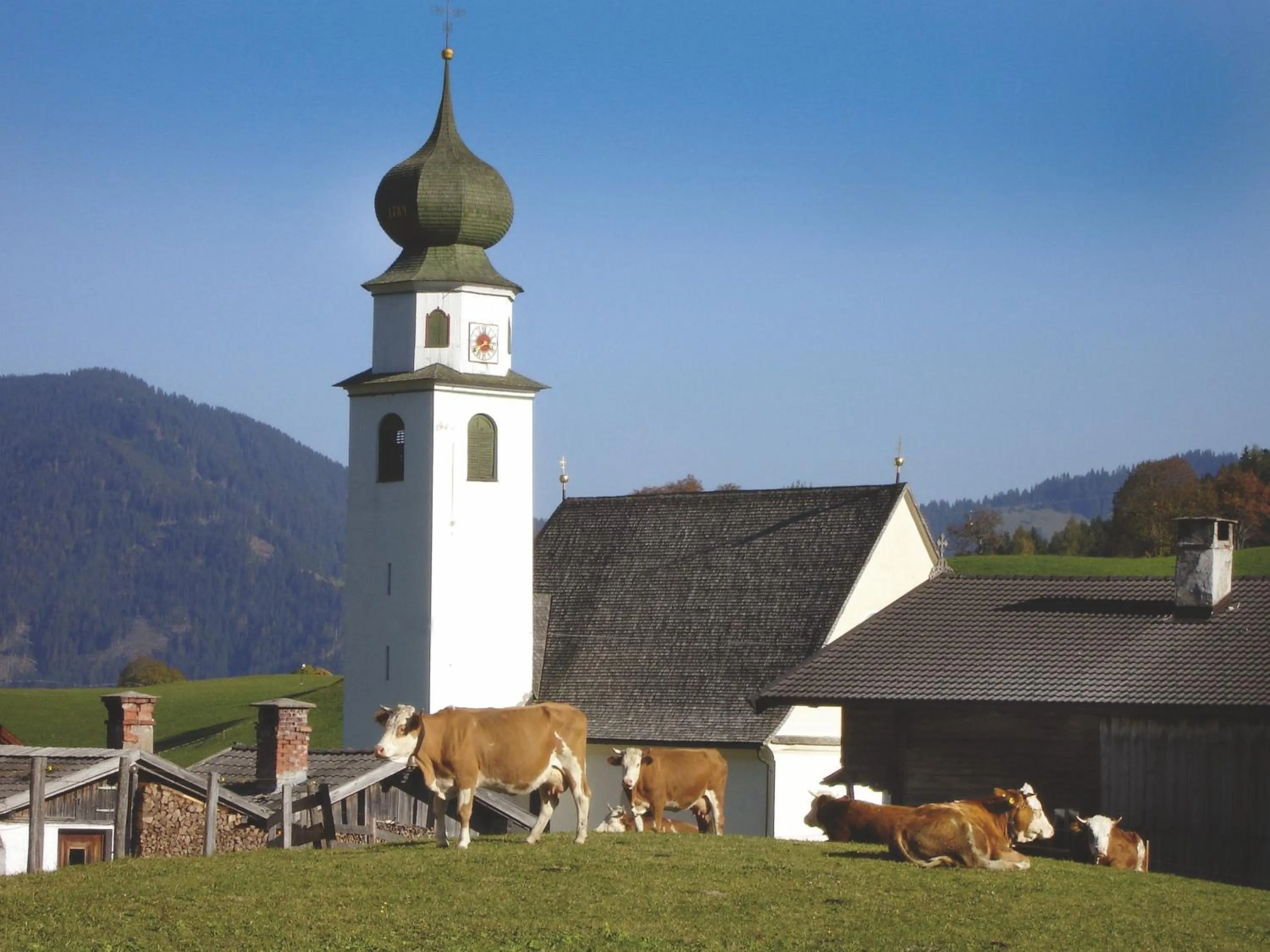 On site in Gasthof Almhof