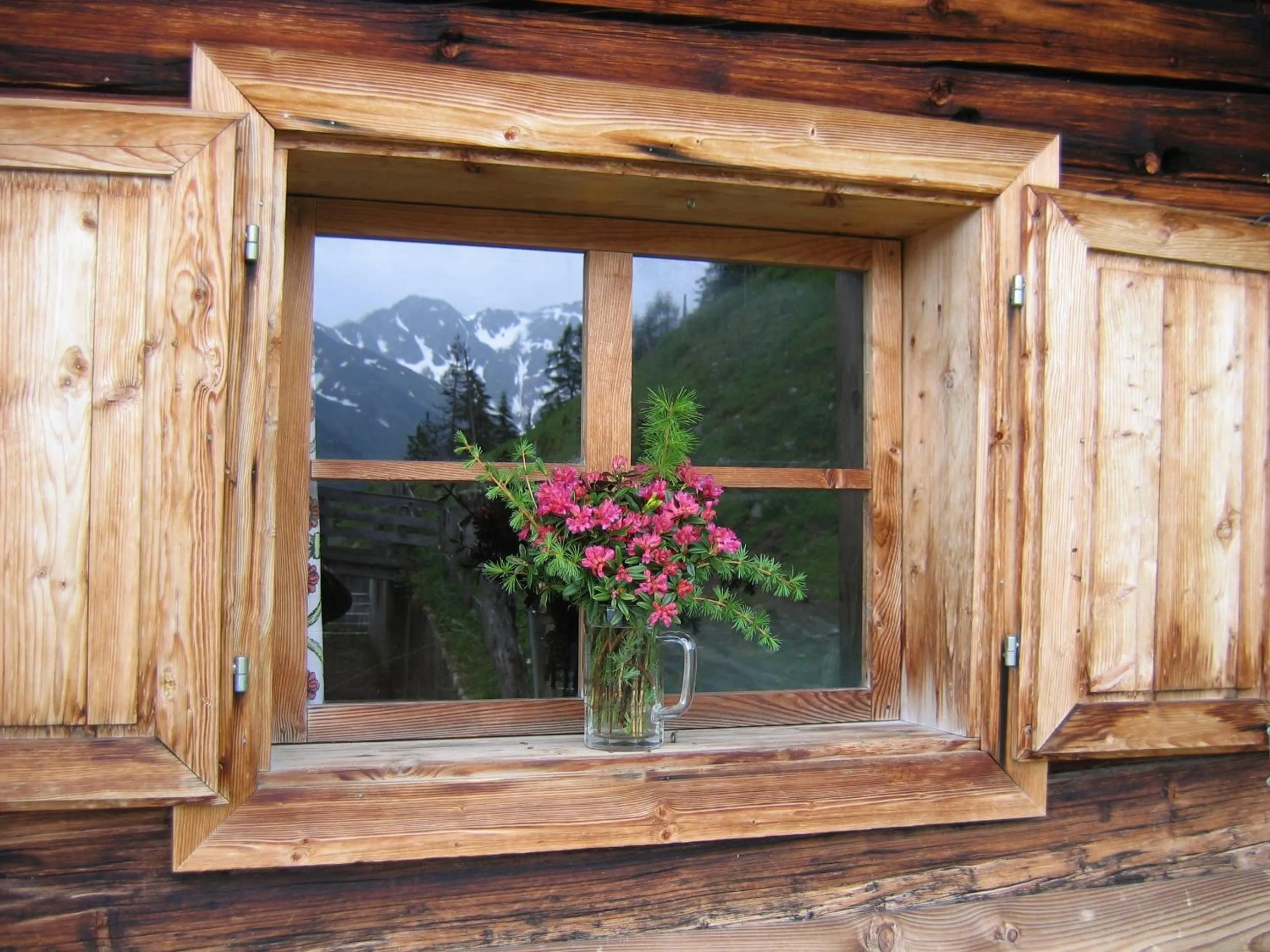 Hiking in Gasthof Almhof