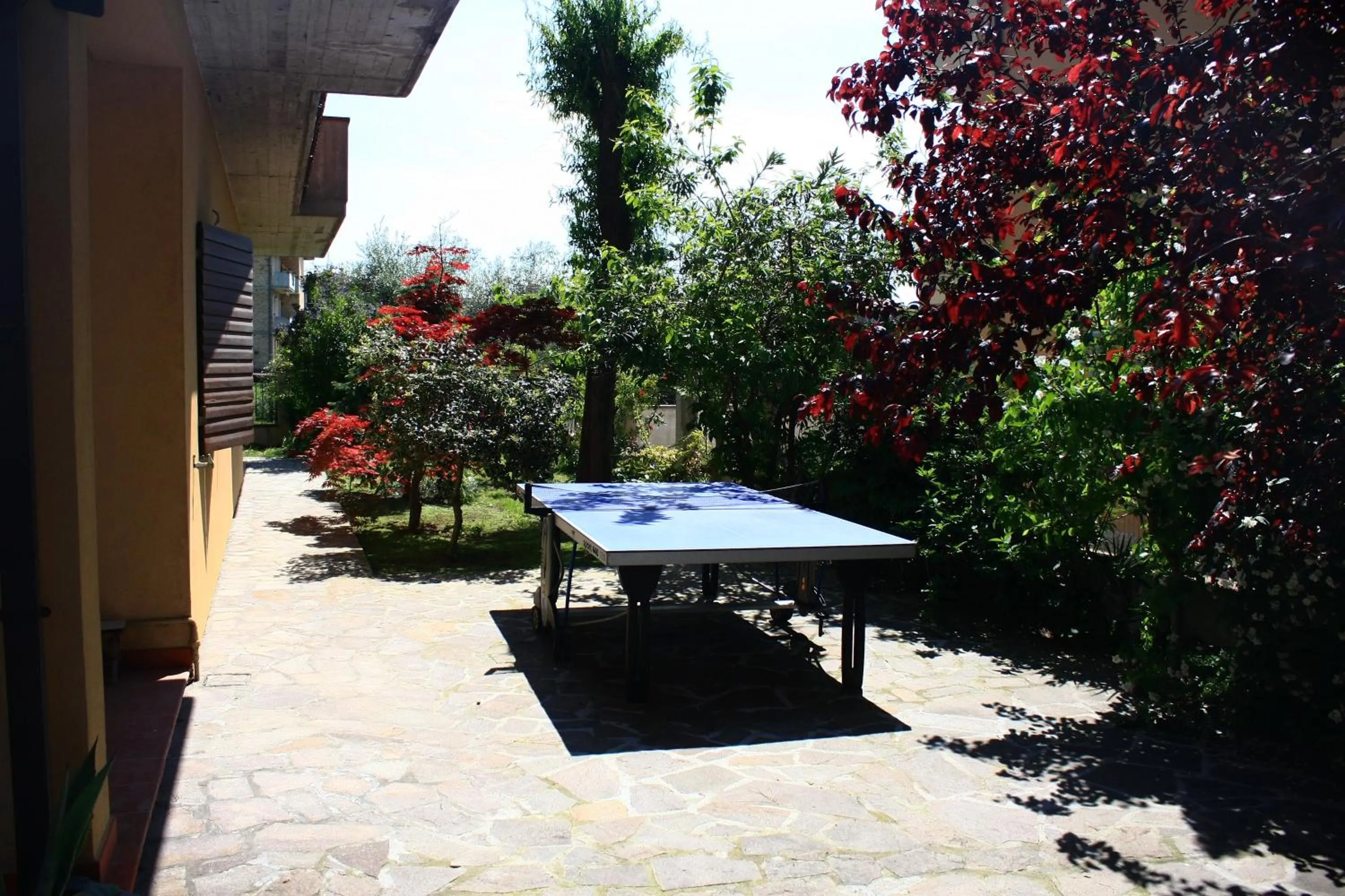 Table tennis in Garden FuoriRotta