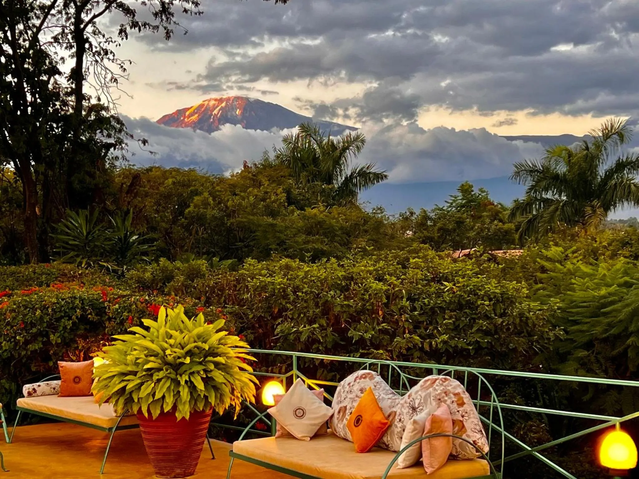 Pink Flamingo Boutique Hotel