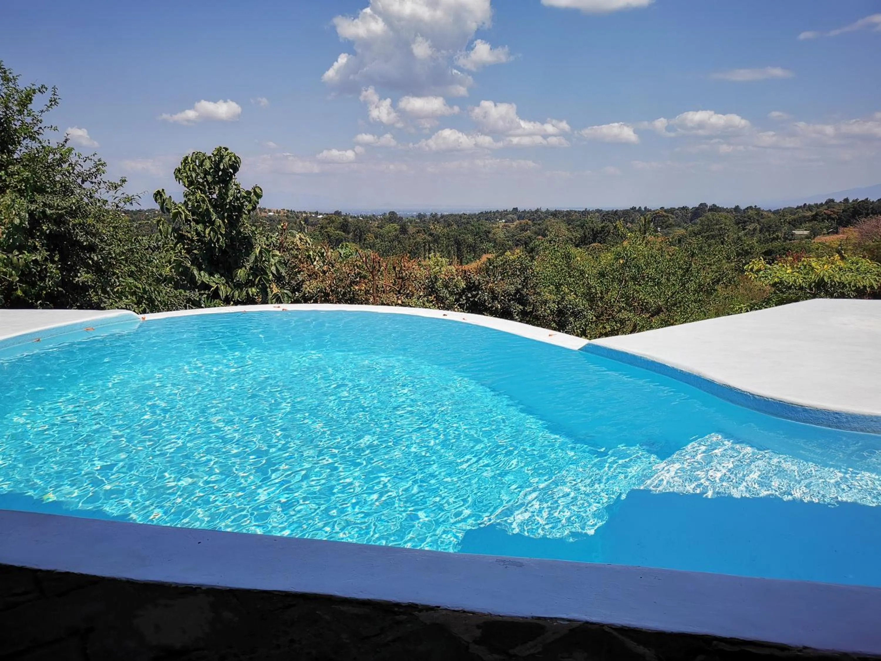 Swimming pool in Pink Flamingo Boutique Hotel
