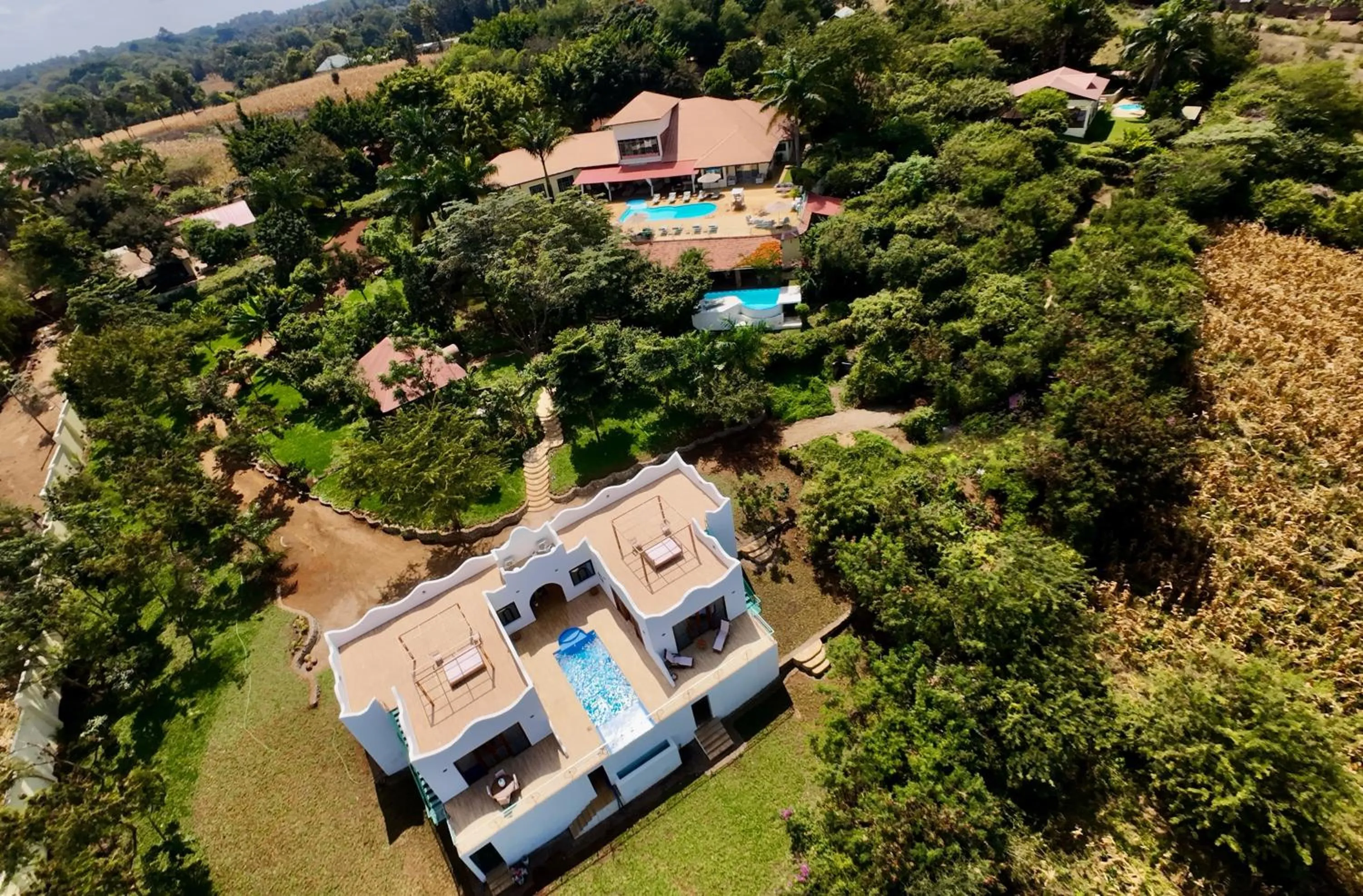 Bird's eye view in Pink Flamingo Boutique Hotel