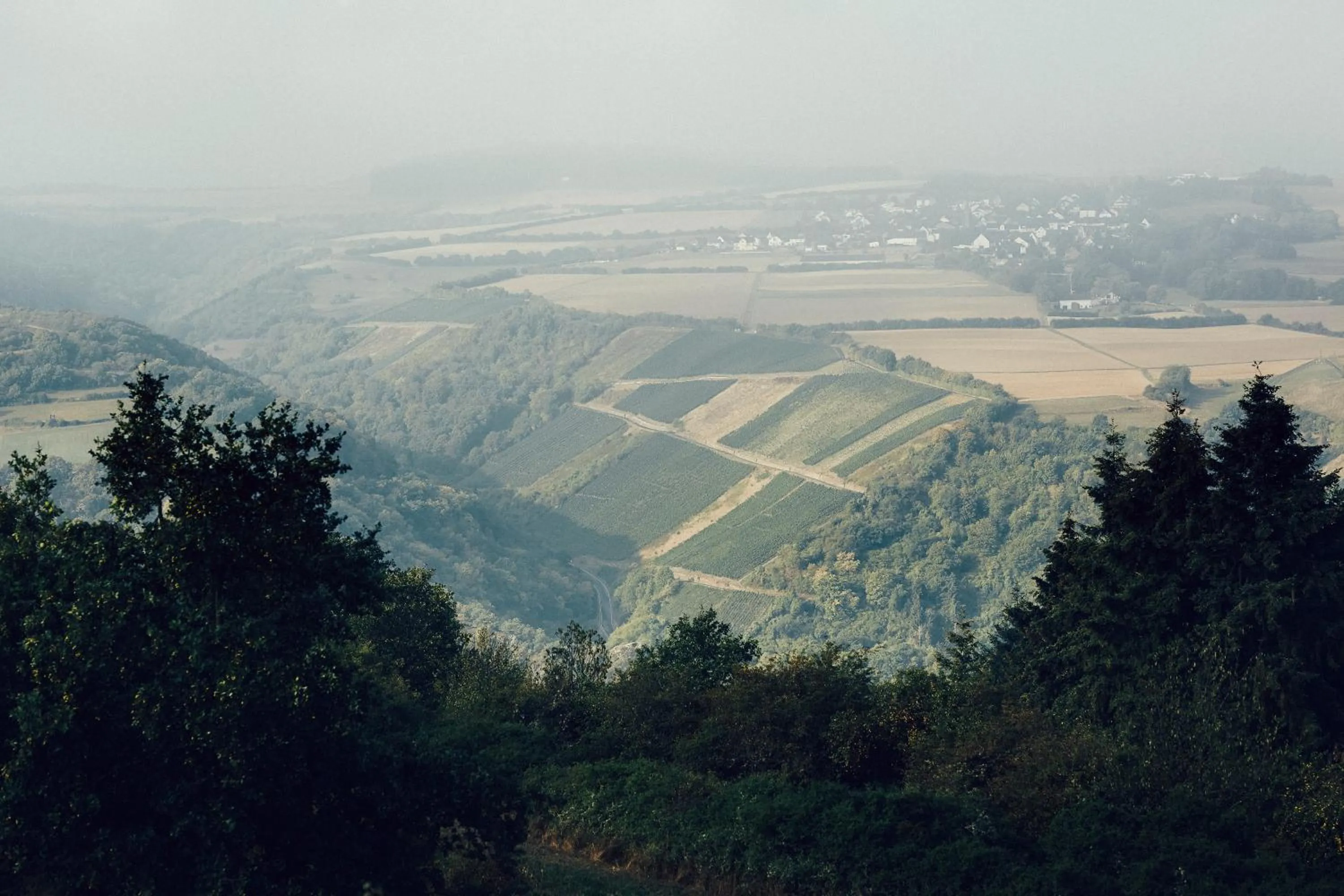 Natural landscape in FETZ DAS LORELEY HOTEL