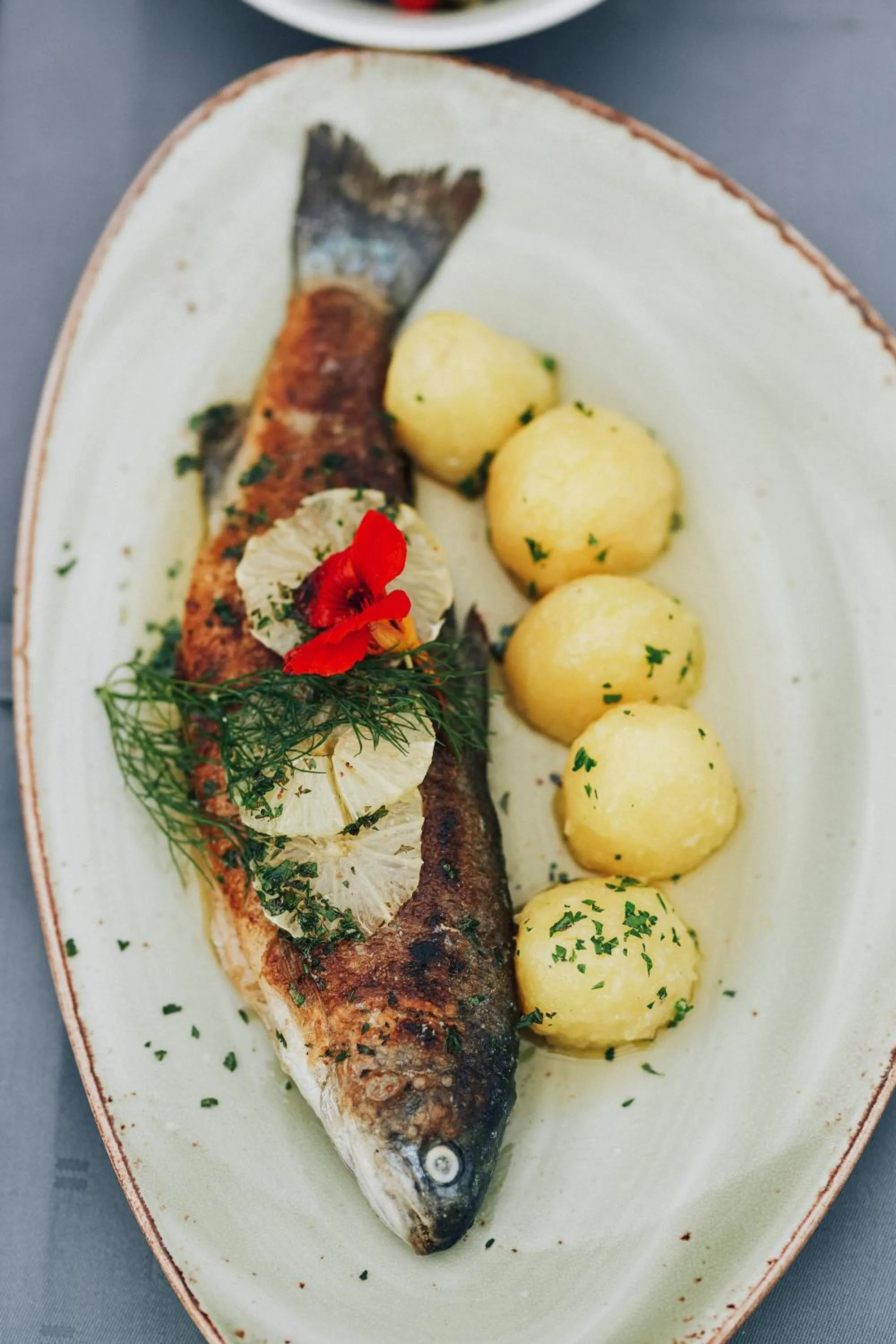 Food close-up in FETZ DAS LORELEY HOTEL