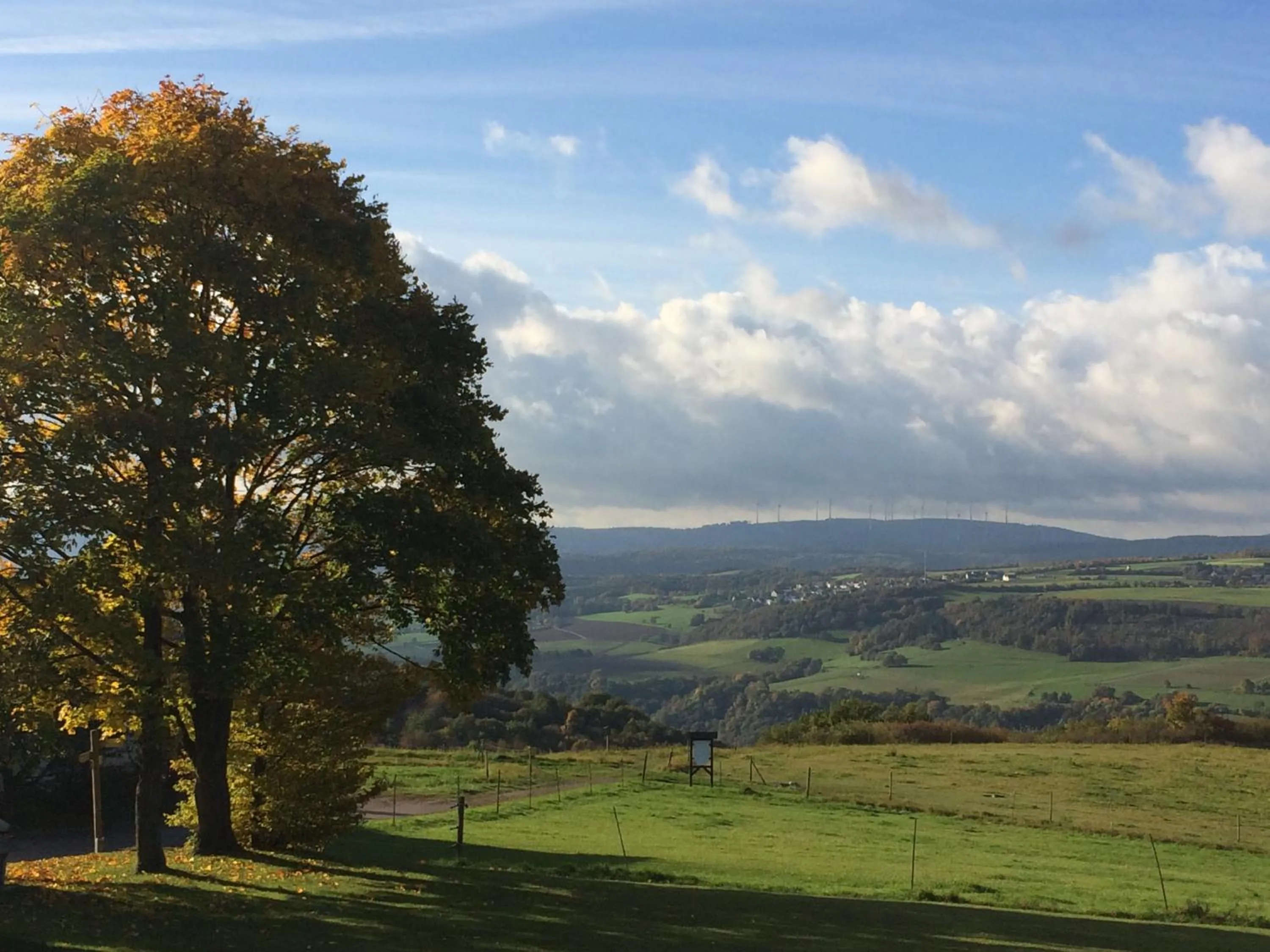 Day in FETZ DAS LORELEY HOTEL