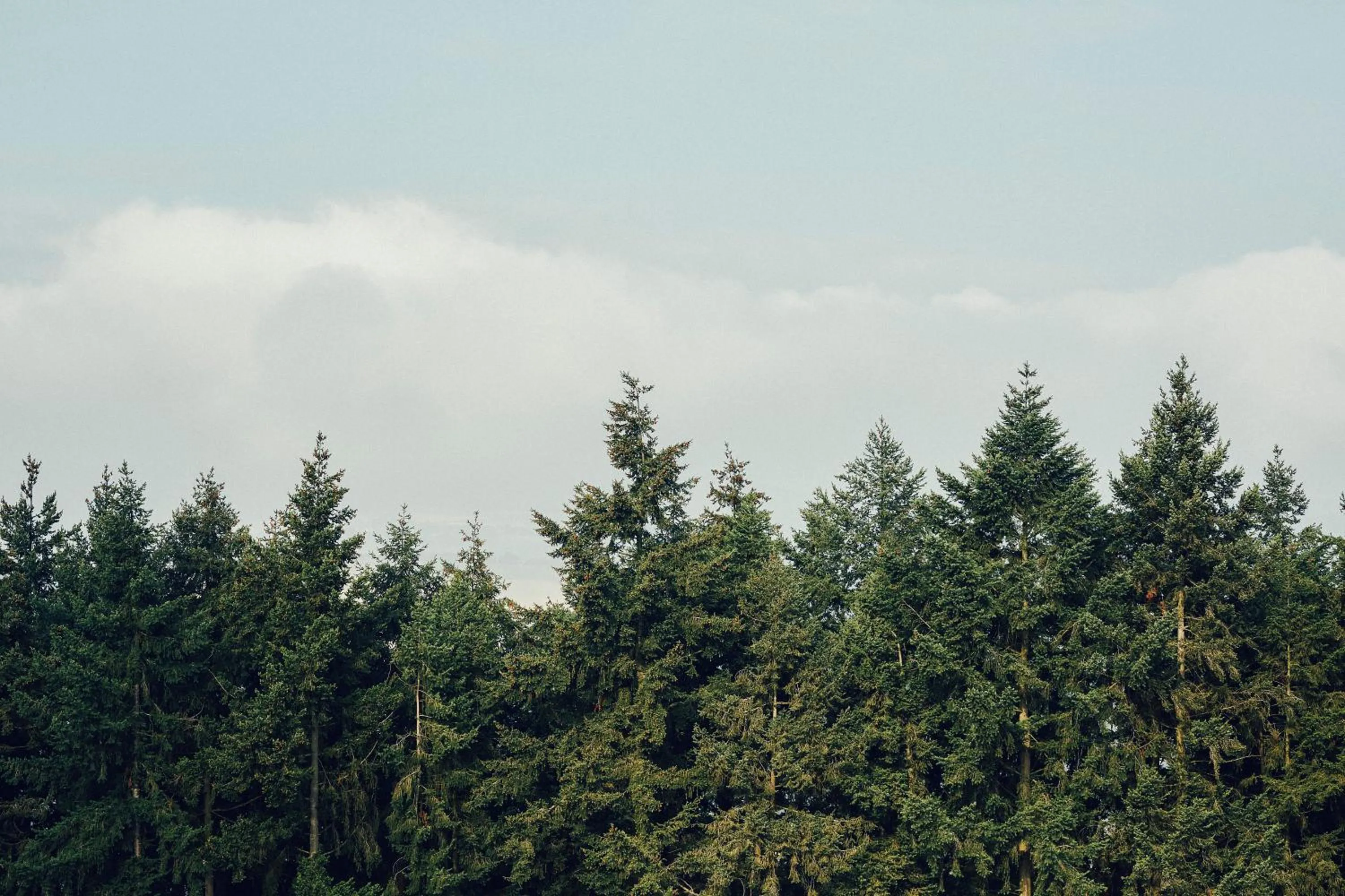 Natural landscape in FETZ DAS LORELEY HOTEL