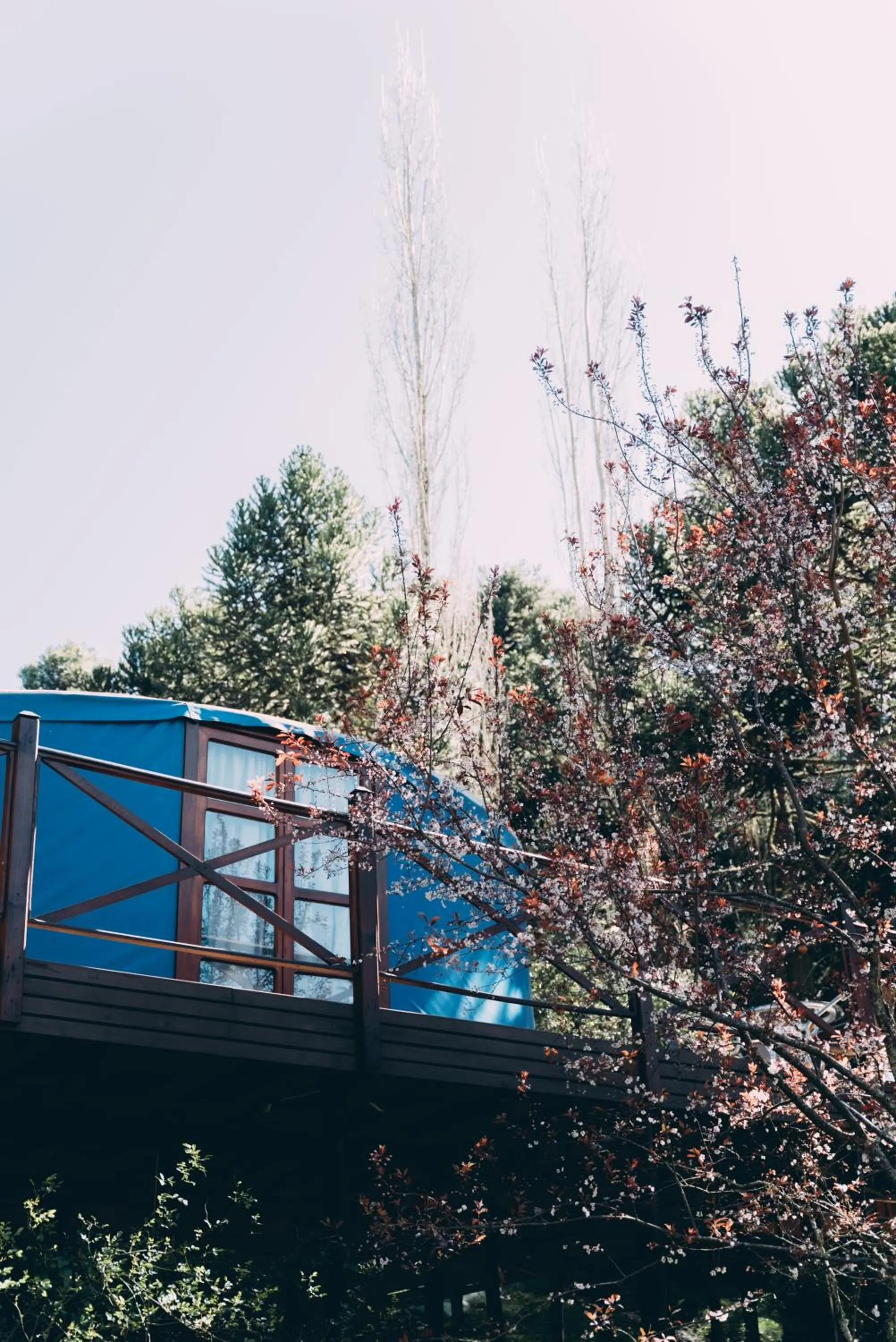 Solar do Oriente - Yurt Ecovillage