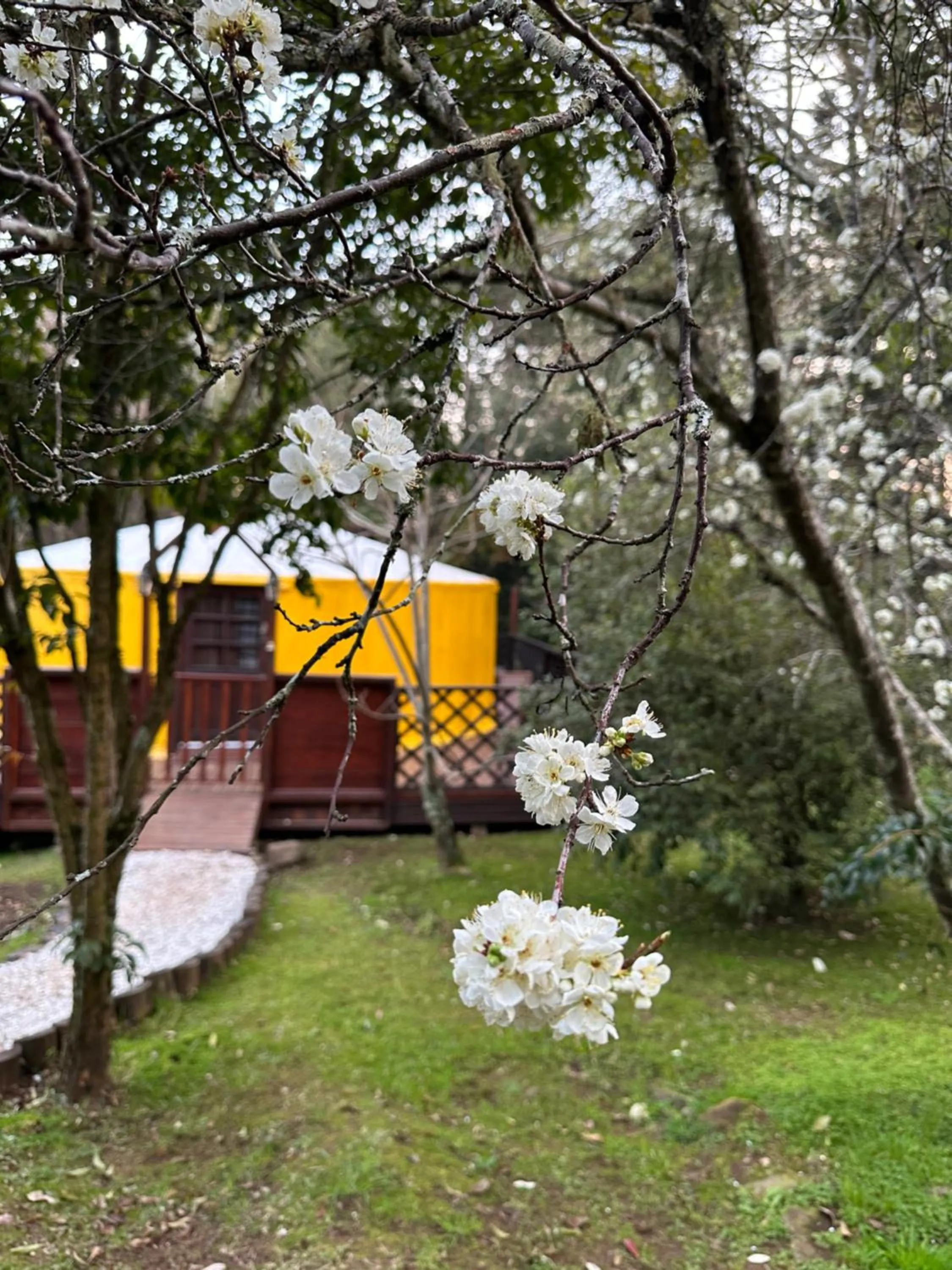 Solar do Oriente - Yurt Ecovillage