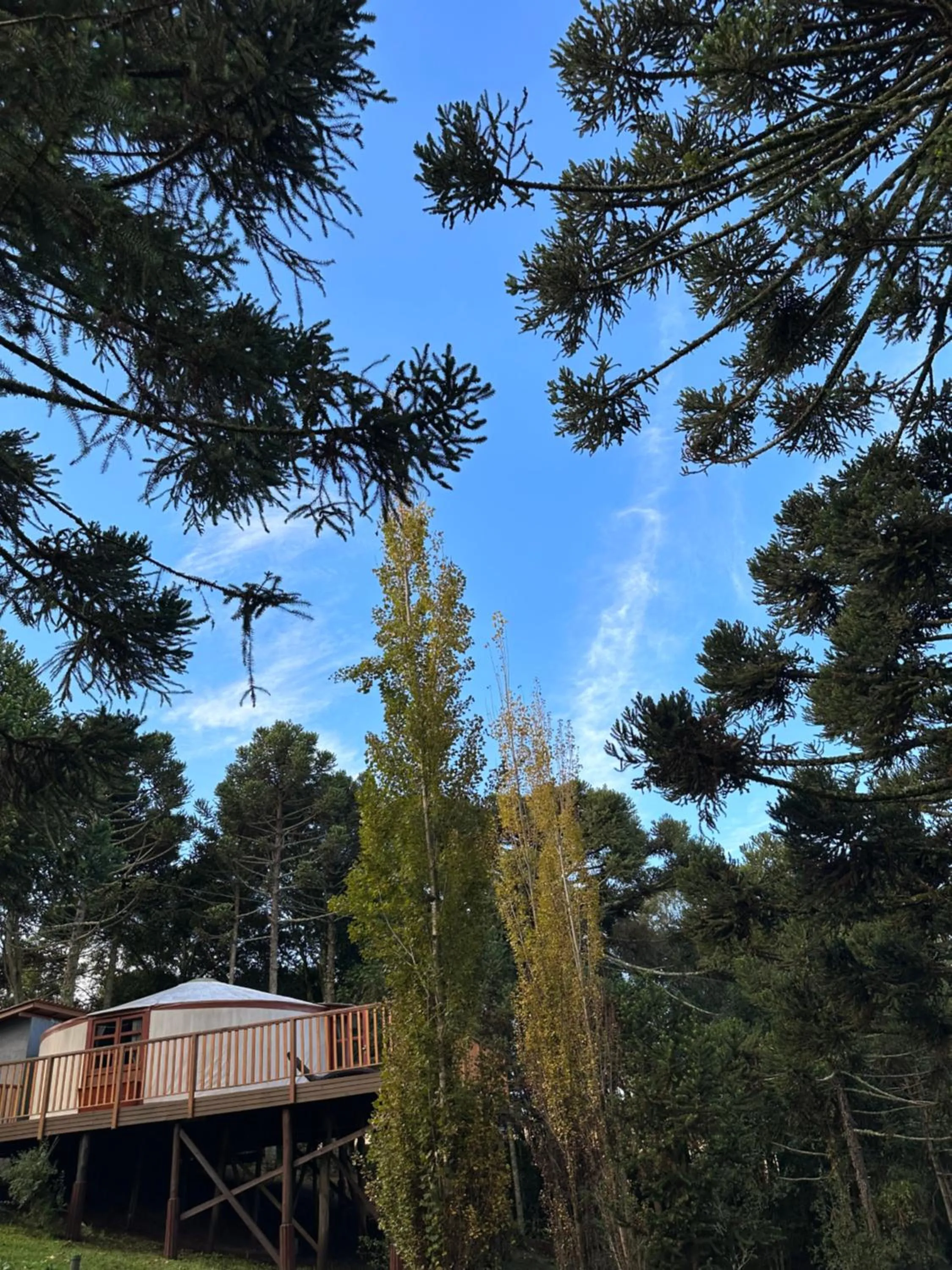 Solar do Oriente - Yurt Ecovillage