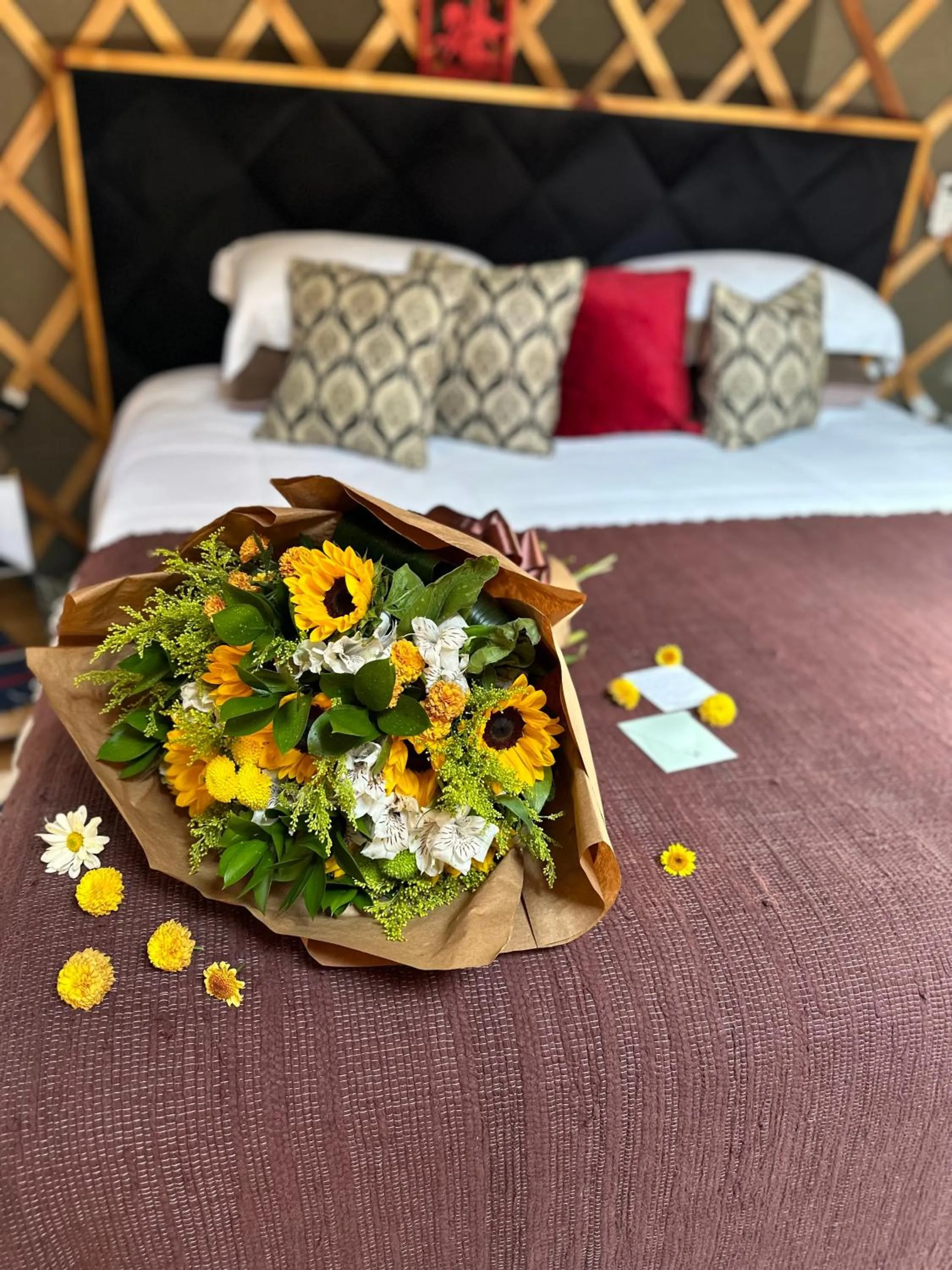 Solar do Oriente - Yurt Ecovillage