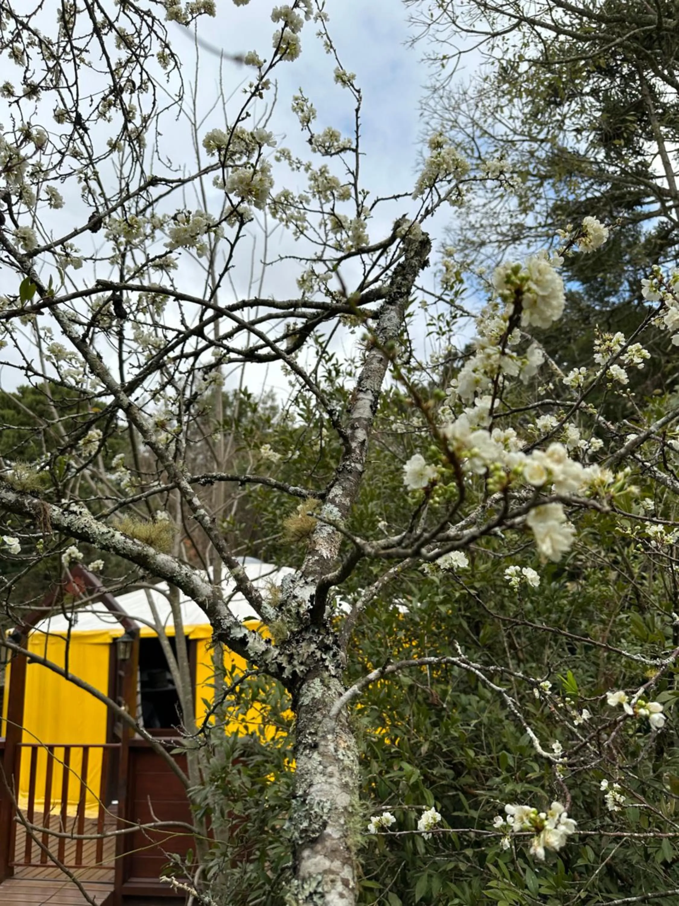 Solar do Oriente - Yurt Ecovillage