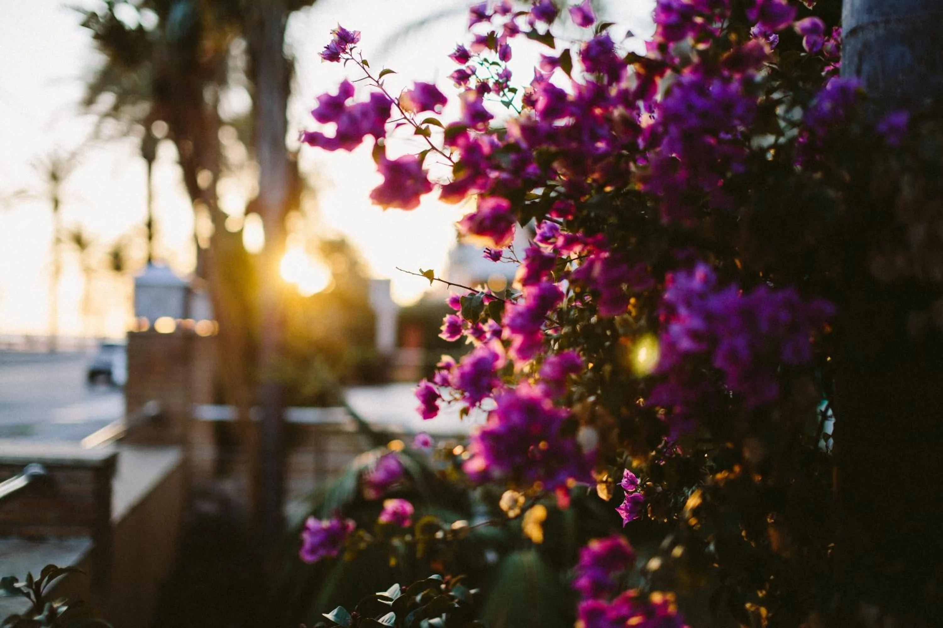 Sunset in MAREA Hotel