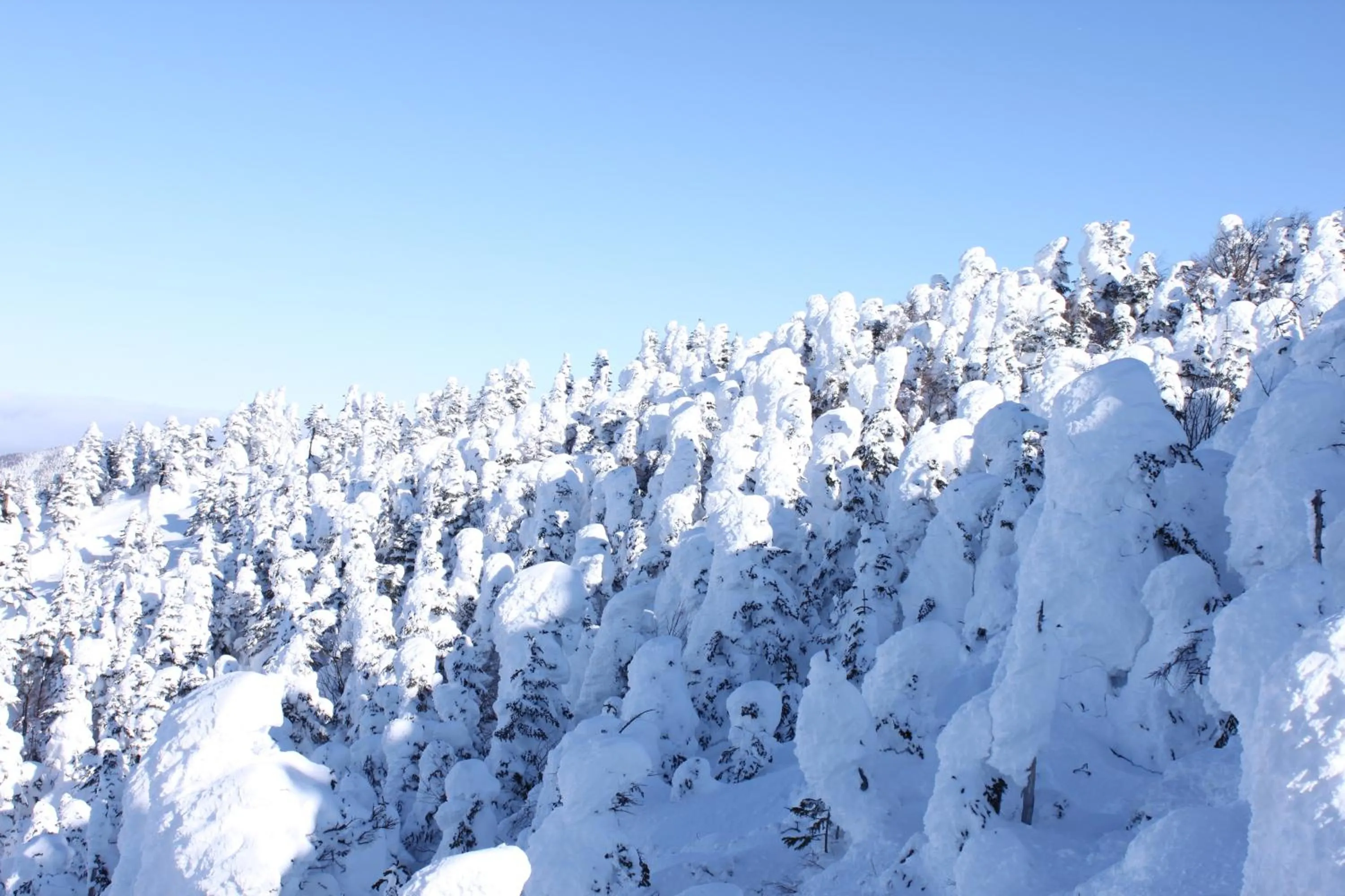 Area and facilities in Aspen Shiga