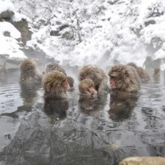 Other in Aspen Shiga