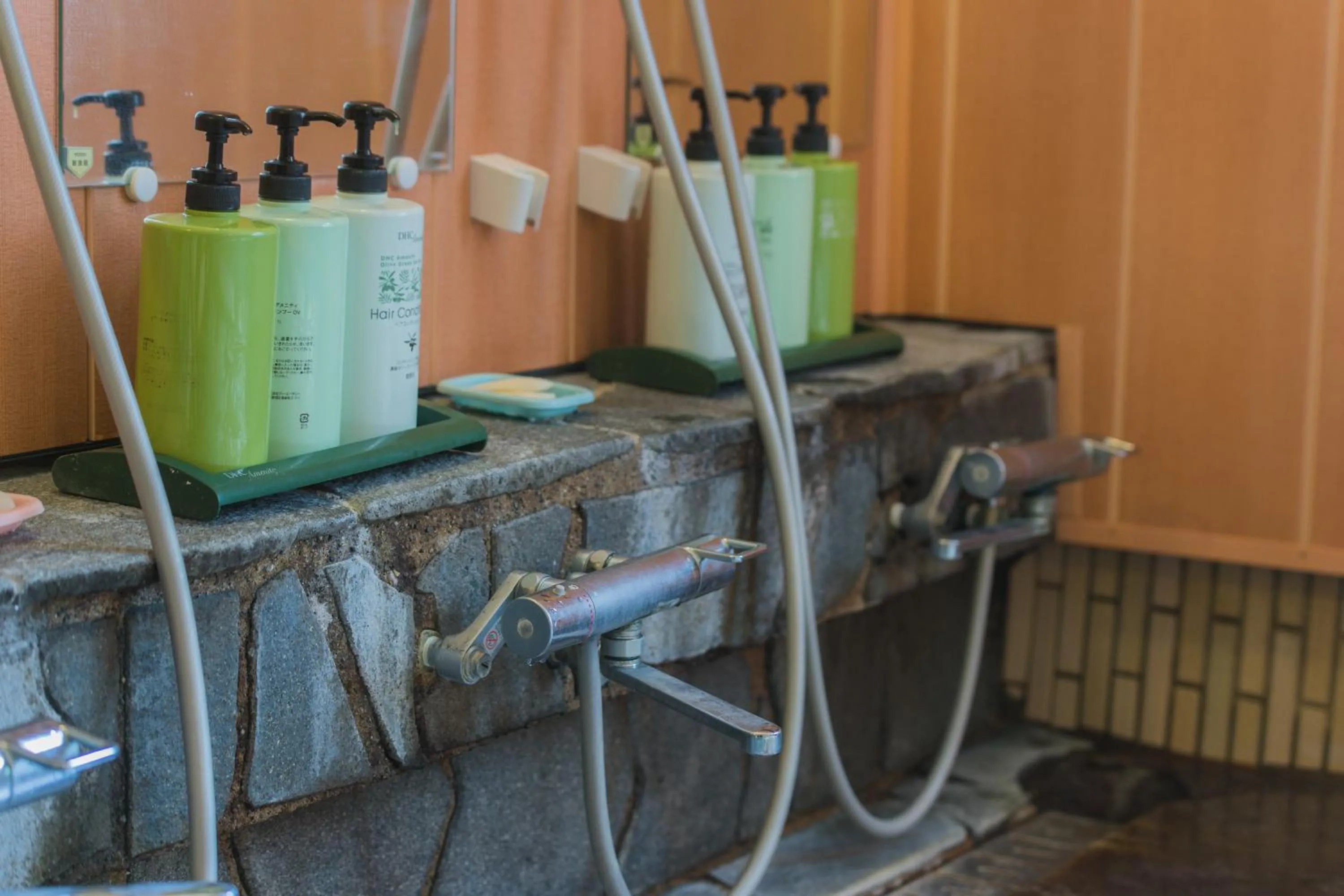 Hot Spring Bath in Aspen Shiga