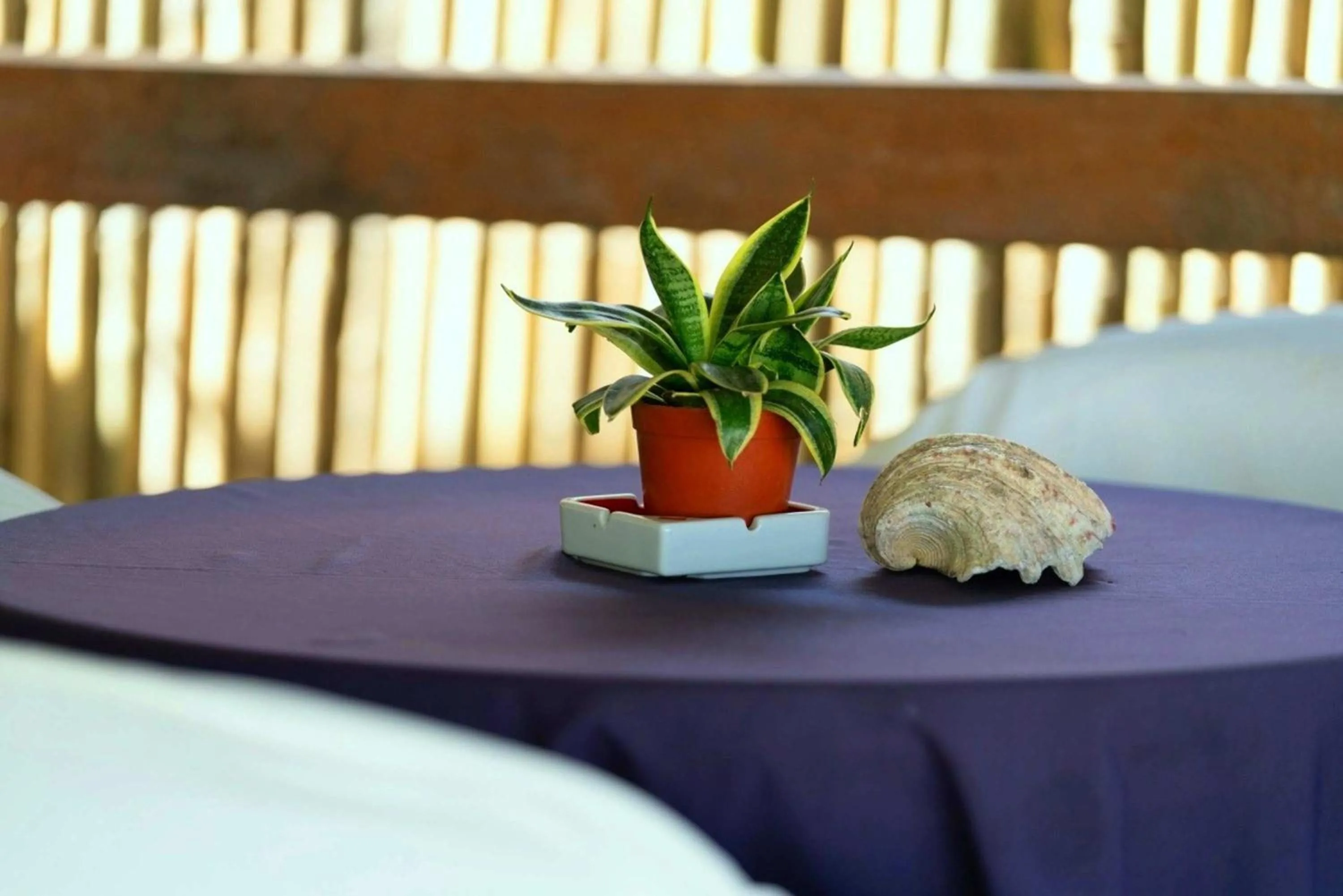 Bed in Romantic Beach Villas