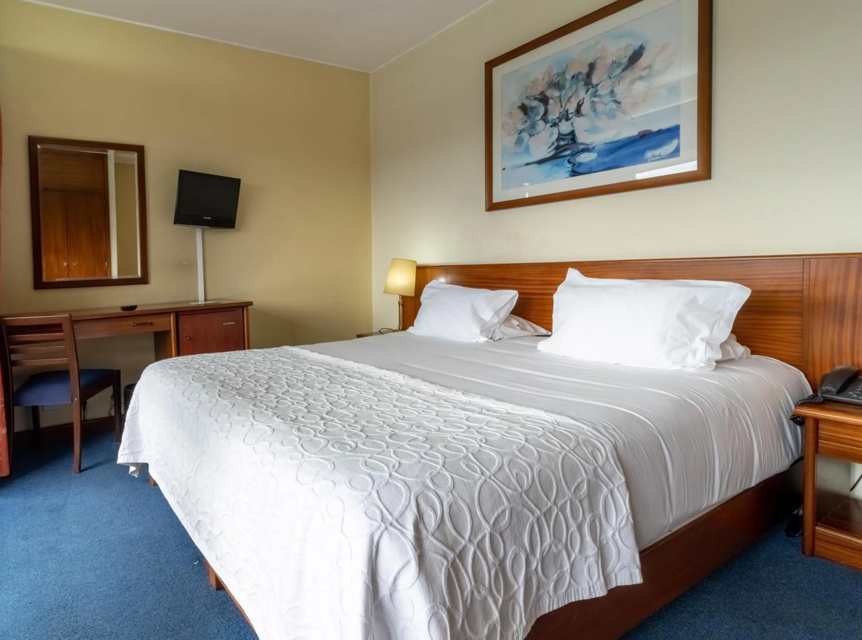 Queen Room - single occupancy in Hotel A.S. Sao Joao da Madeira Queen Room - single occupancy in Hotel A.S. Sao Joao da Madeira