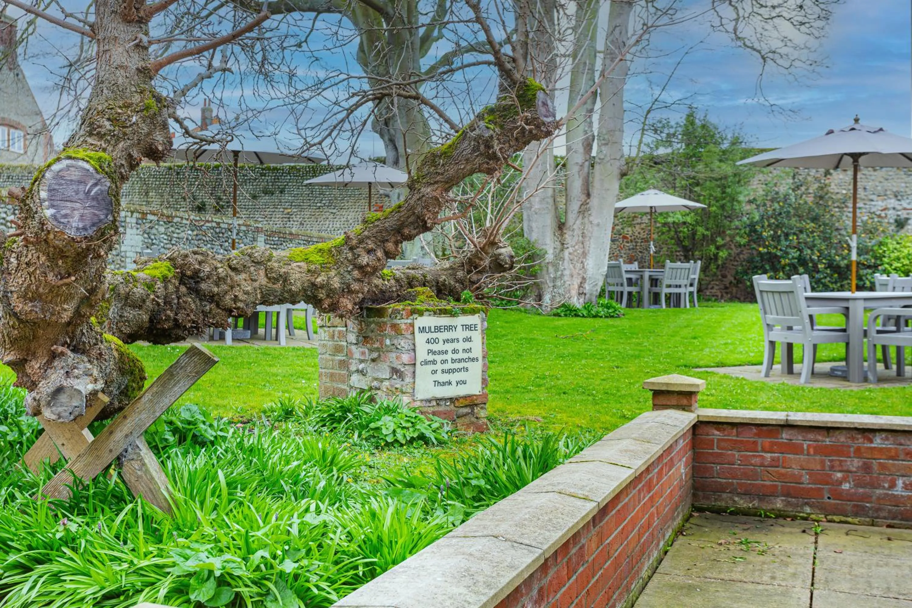 Garden in The Manor Coastal Hotel & Inn, Blakeney - The Coaching Inn Group